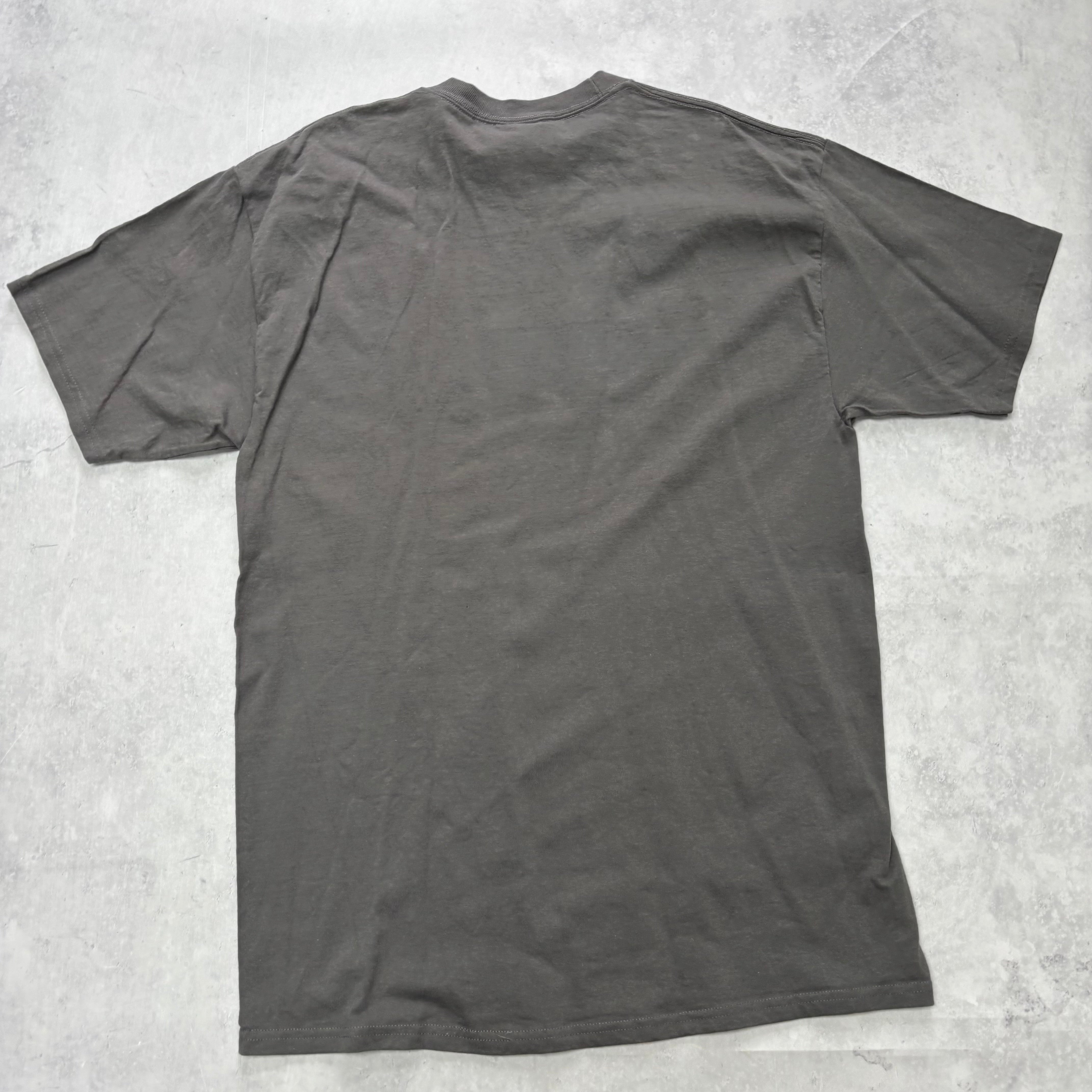 T Shirt Mens Large Grey Graphic Print 00s USA (E)