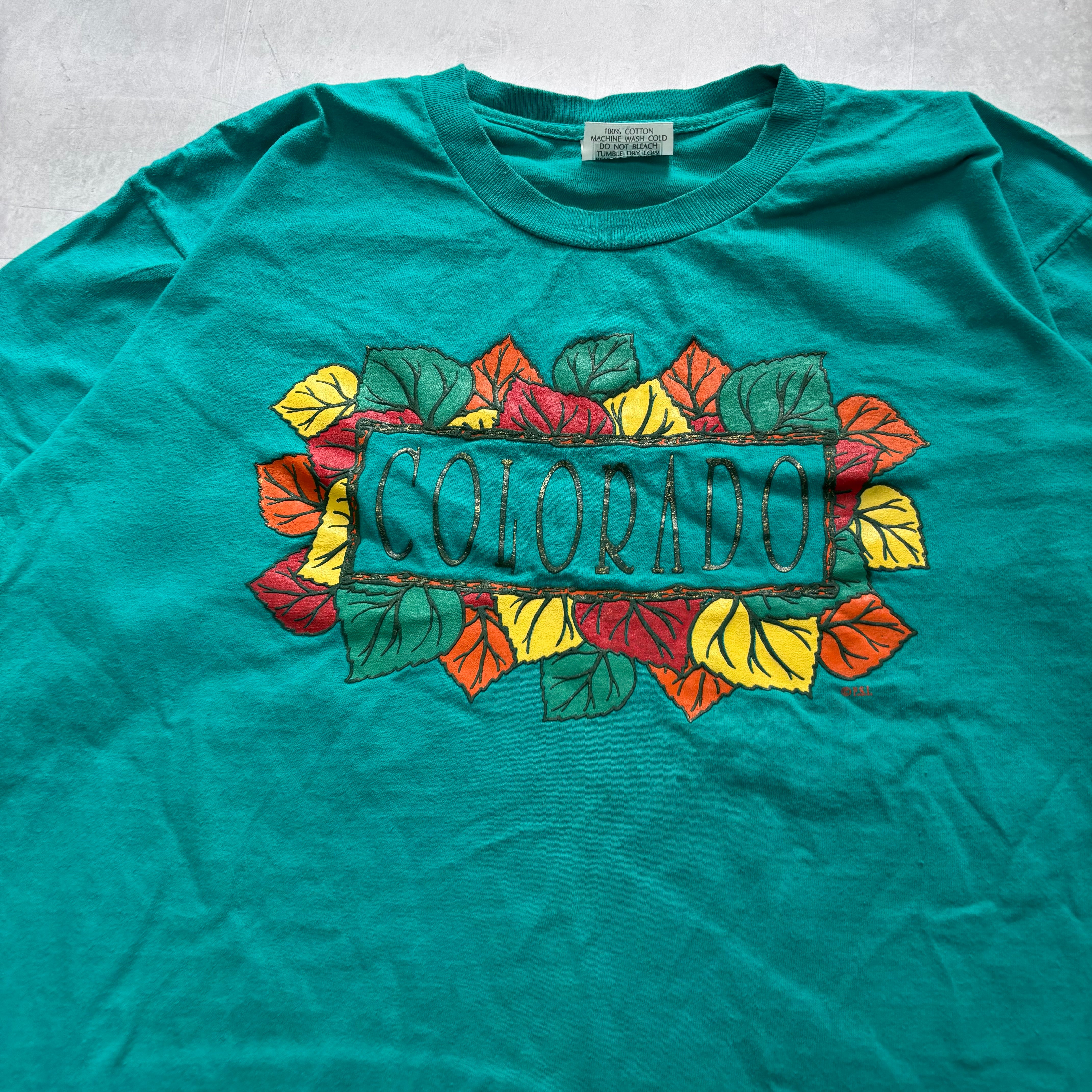 Vintage T Shirt Mens Large Teal Green Single Stitch Graphic Print 90s USA (E)