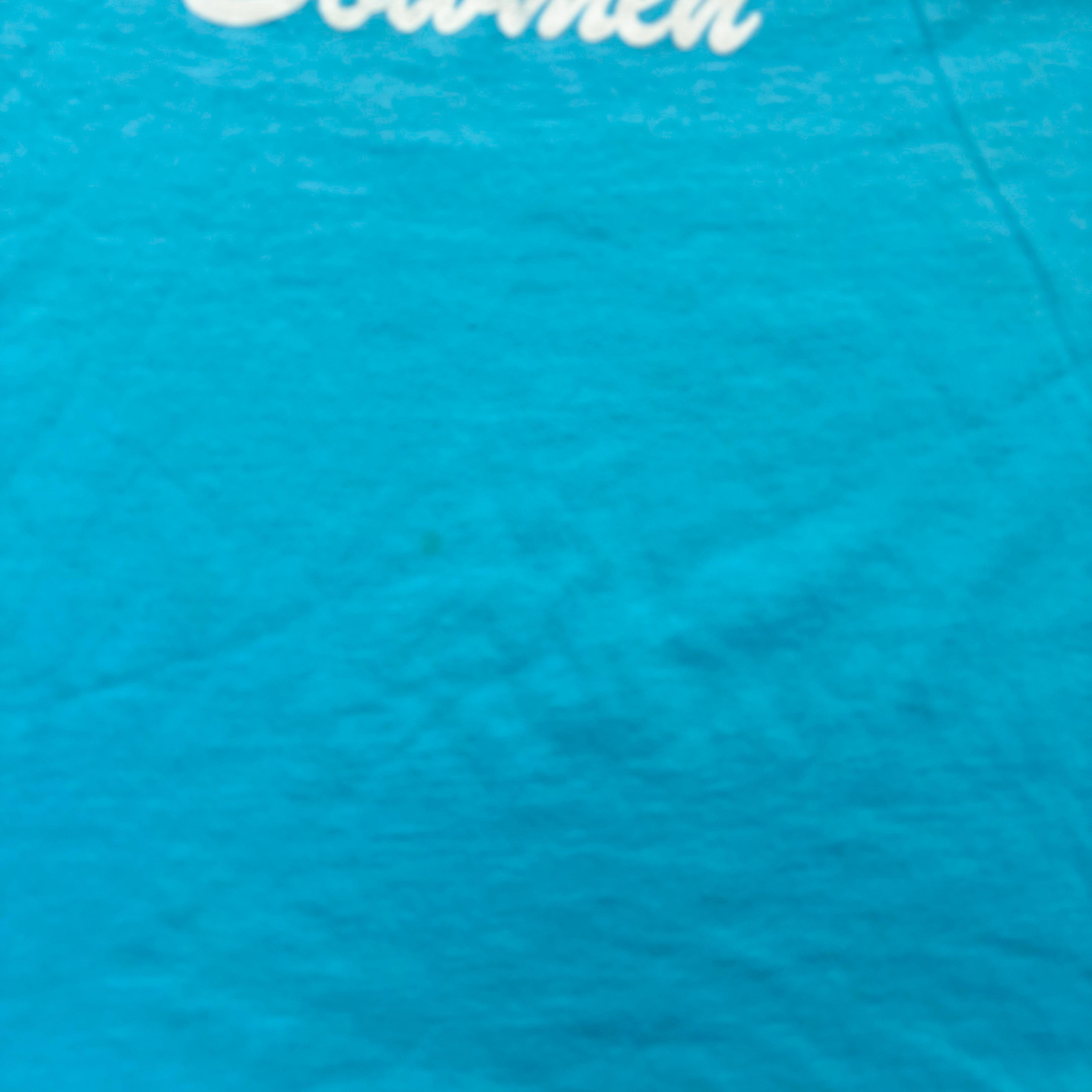 Vintage T Shirt Mens XXL Blue Single Stitch Graphic Print 90s USA