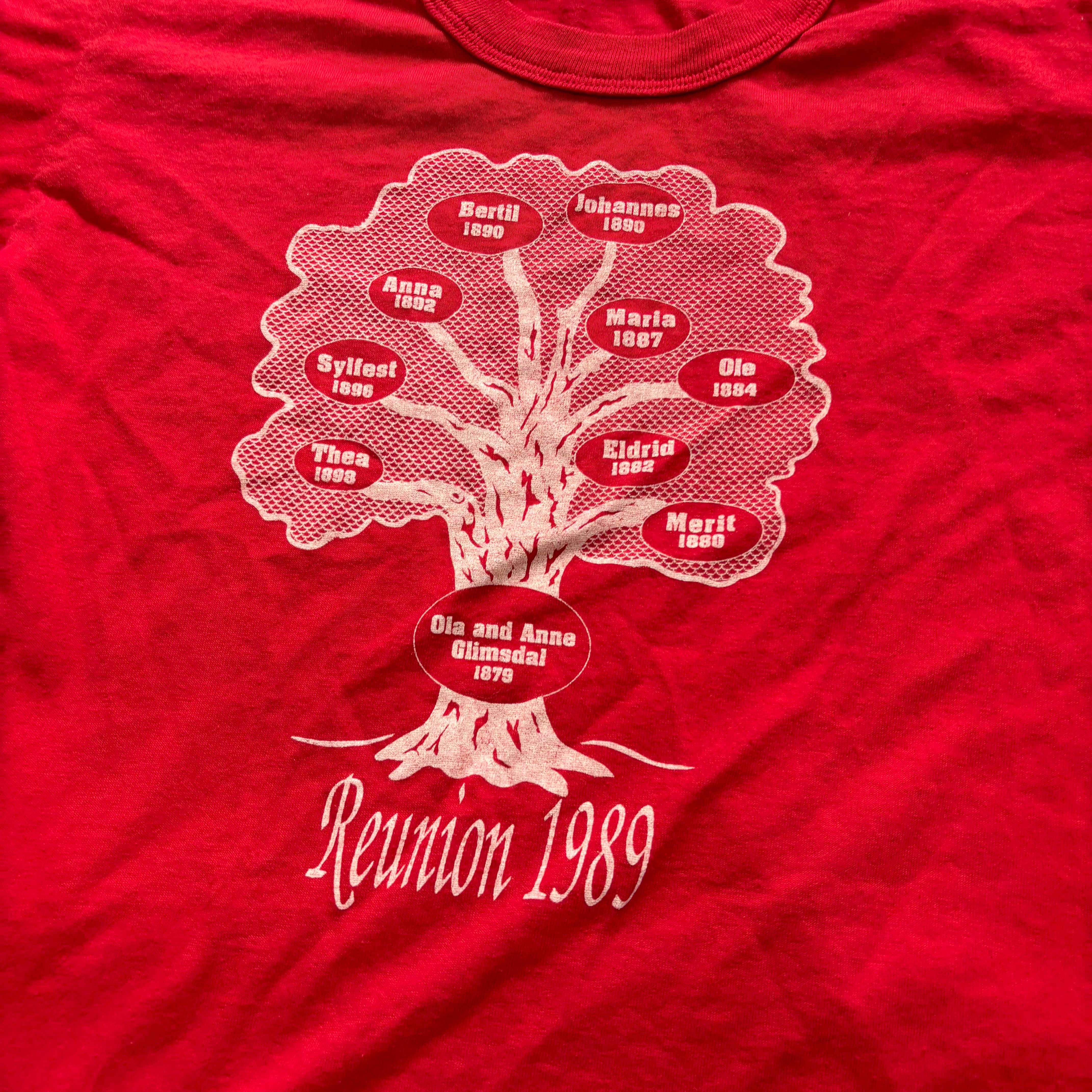 Vintage T Shirt Mens Small Red Single Stitch Graphic Print 90s Reunion (E)