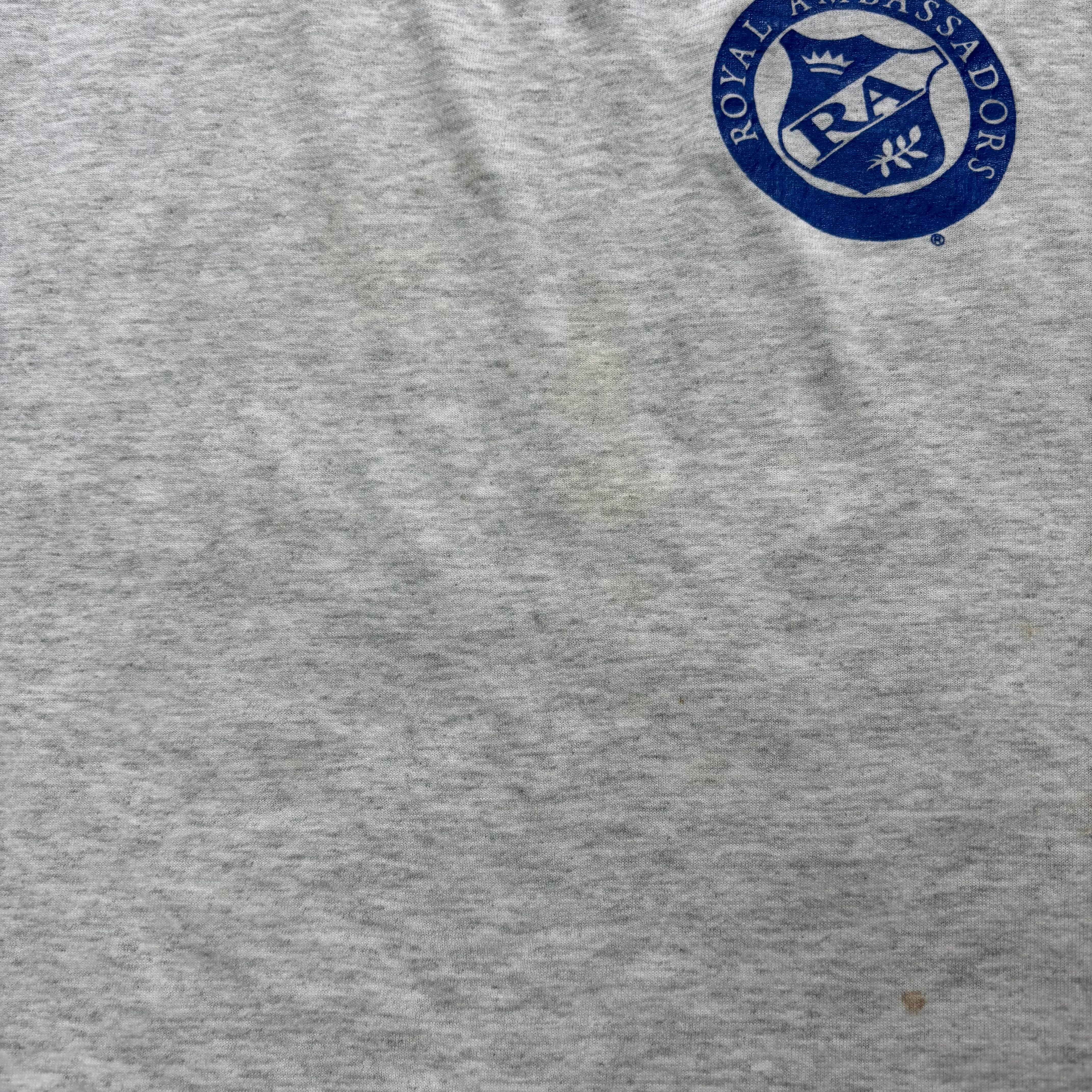 Vintage T Shirt Mens Large Grey Single Stitch Graphic Print 90s USA (F)