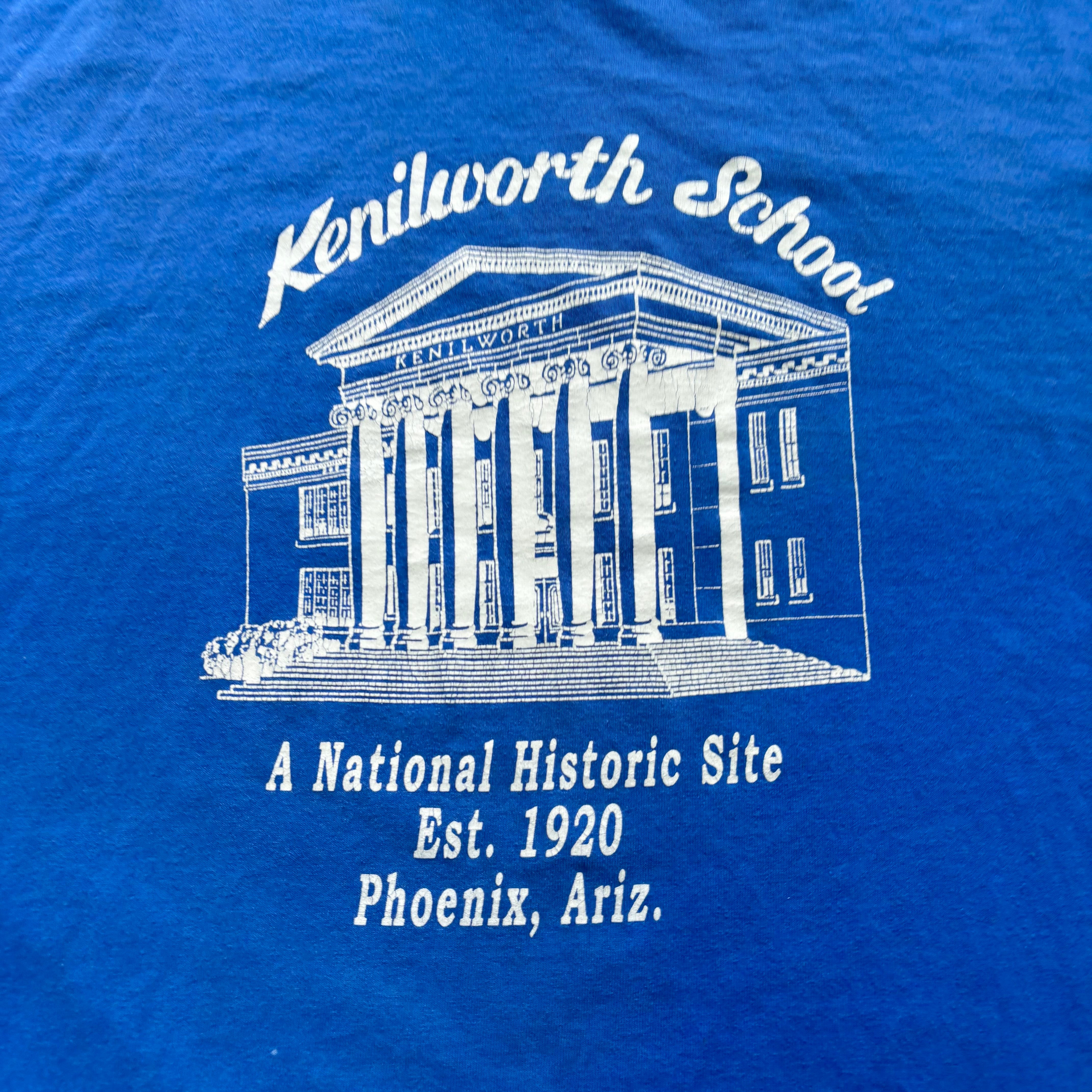 Vintage T Shirt Mens XXL Blue Single Stitch Graphic Print 90s USA (E)