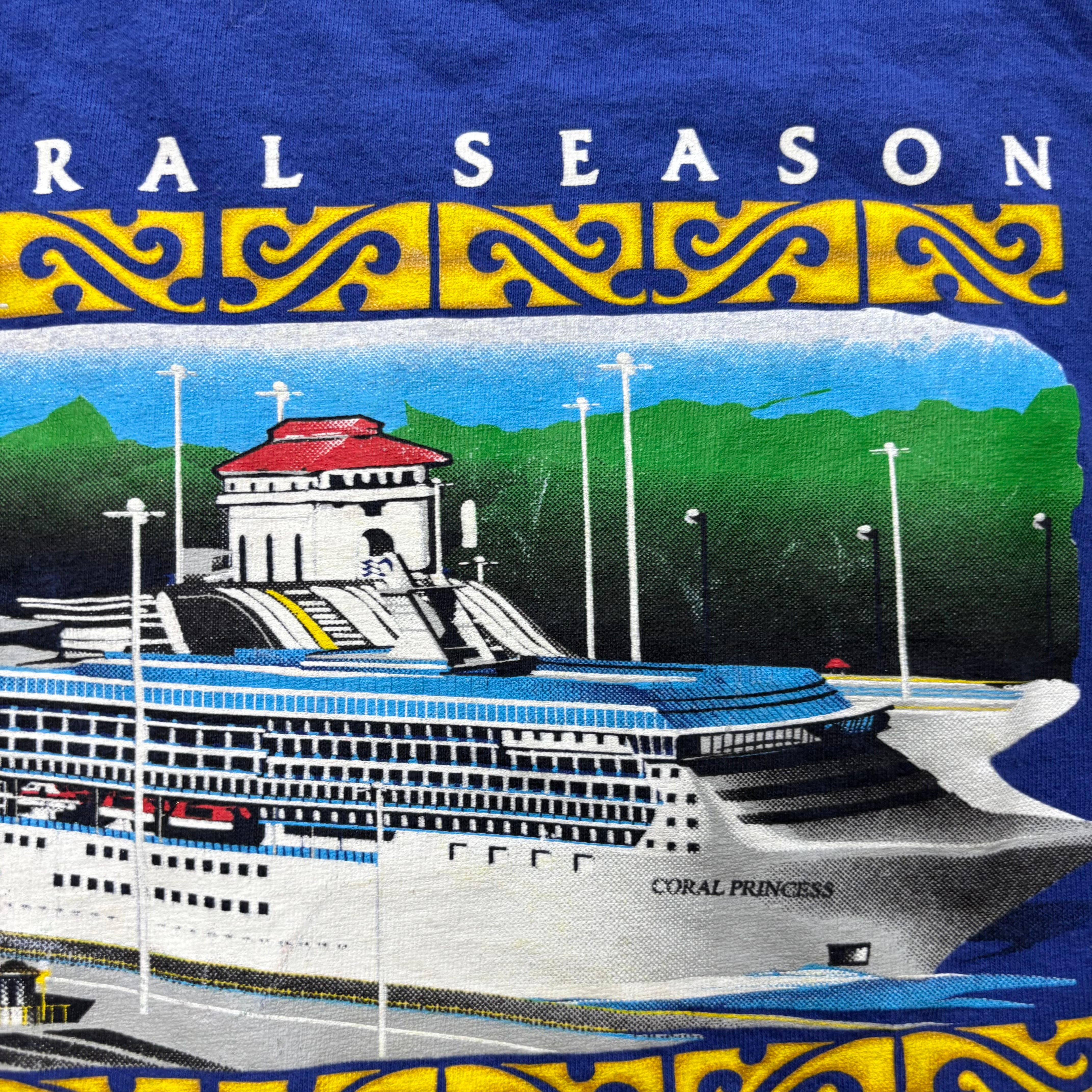 Vintage T Shirt Mens Medium Blue Single Stitch Graphic Print 90s Cruise (E)