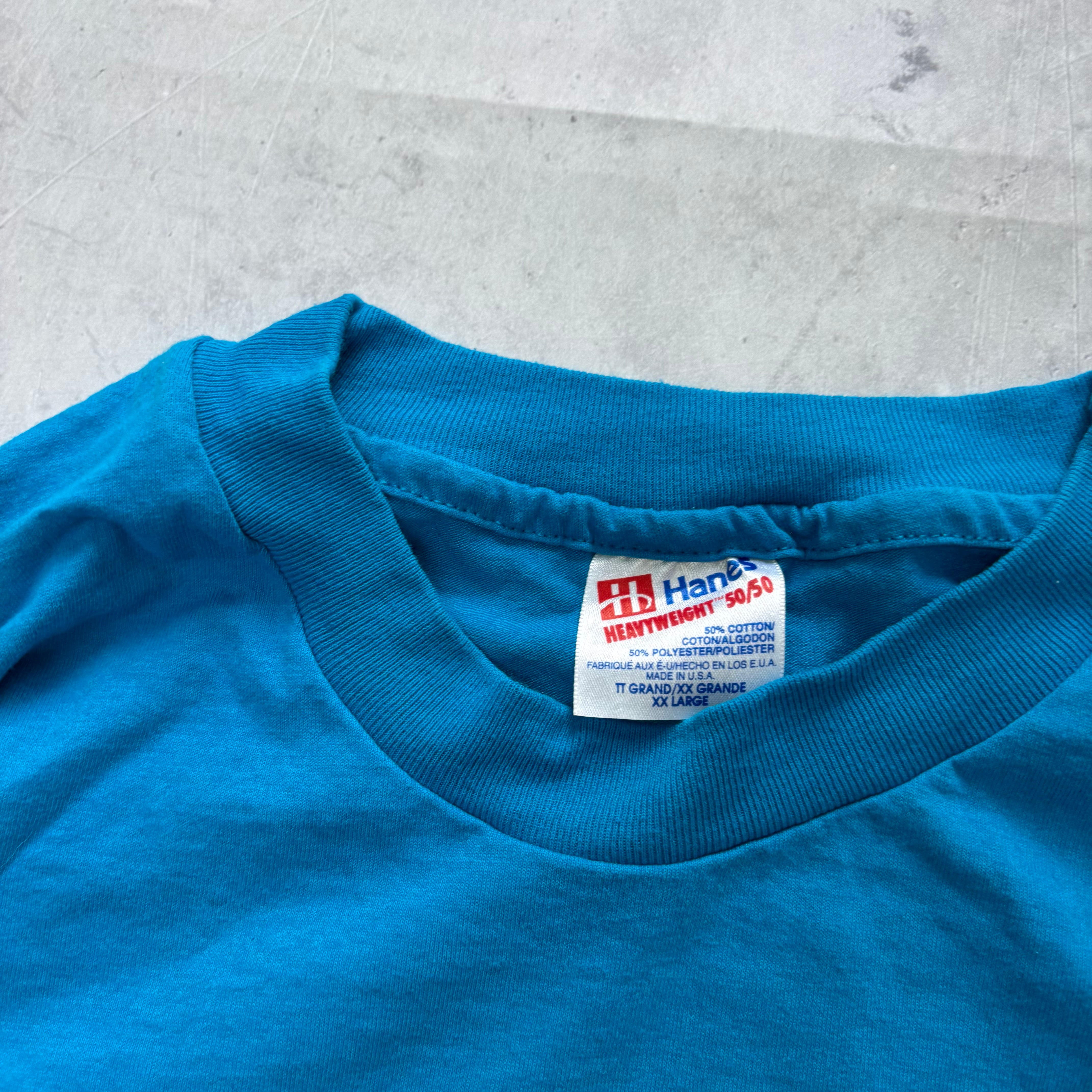 Vintage T Shirt Mens XXL Blue Single Stitch Graphic Print 90s USA Fair (E)
