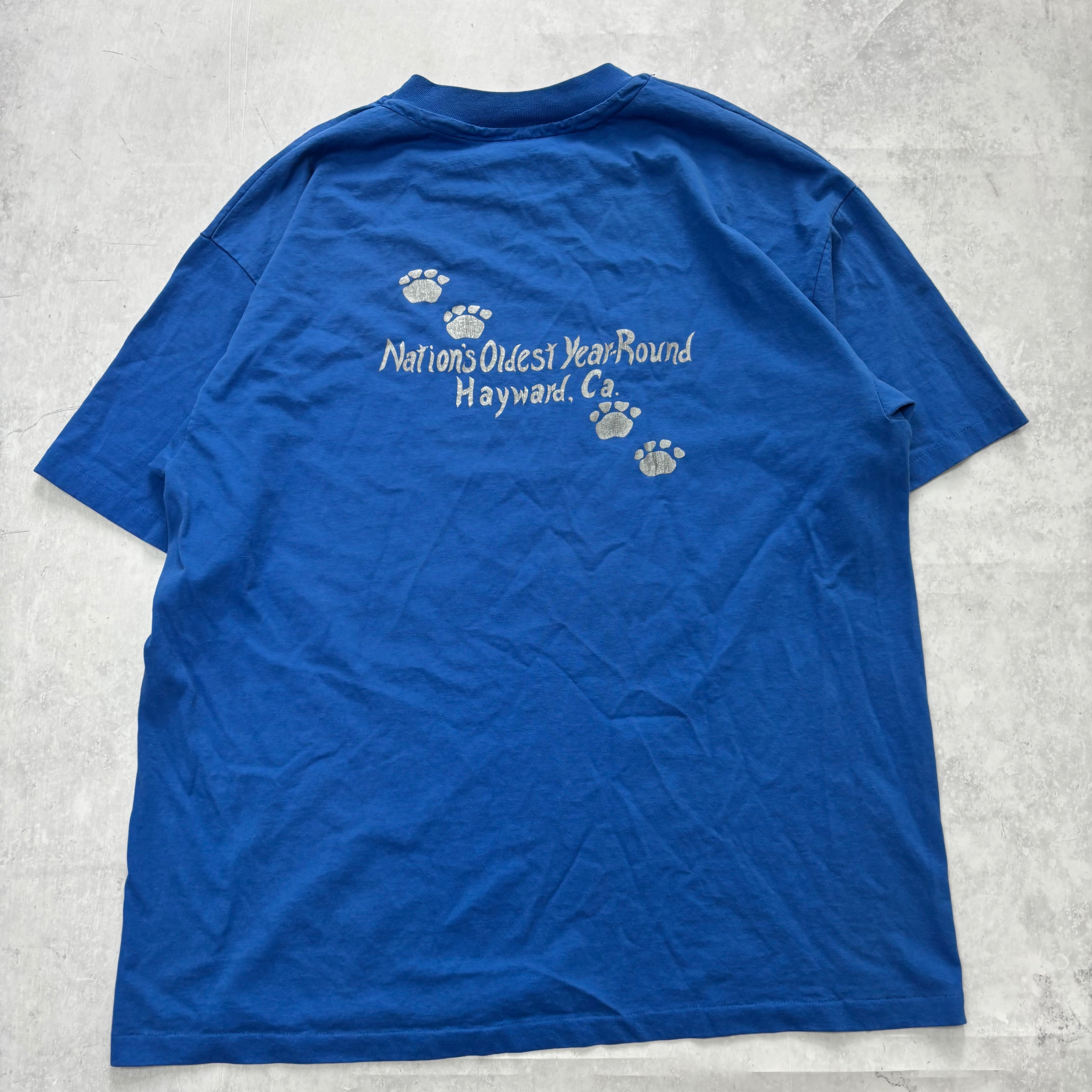 Vintage T Shirt Mens XL Blue Single Stitch Graphic Print 90s USA (E)