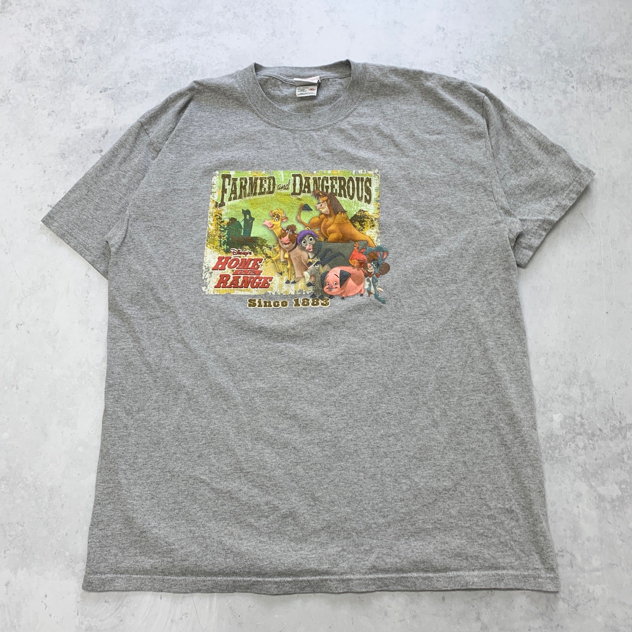 Vintage T Shirt Mens XL Grey Graphic Print Disney Movie Promo Film Y2K