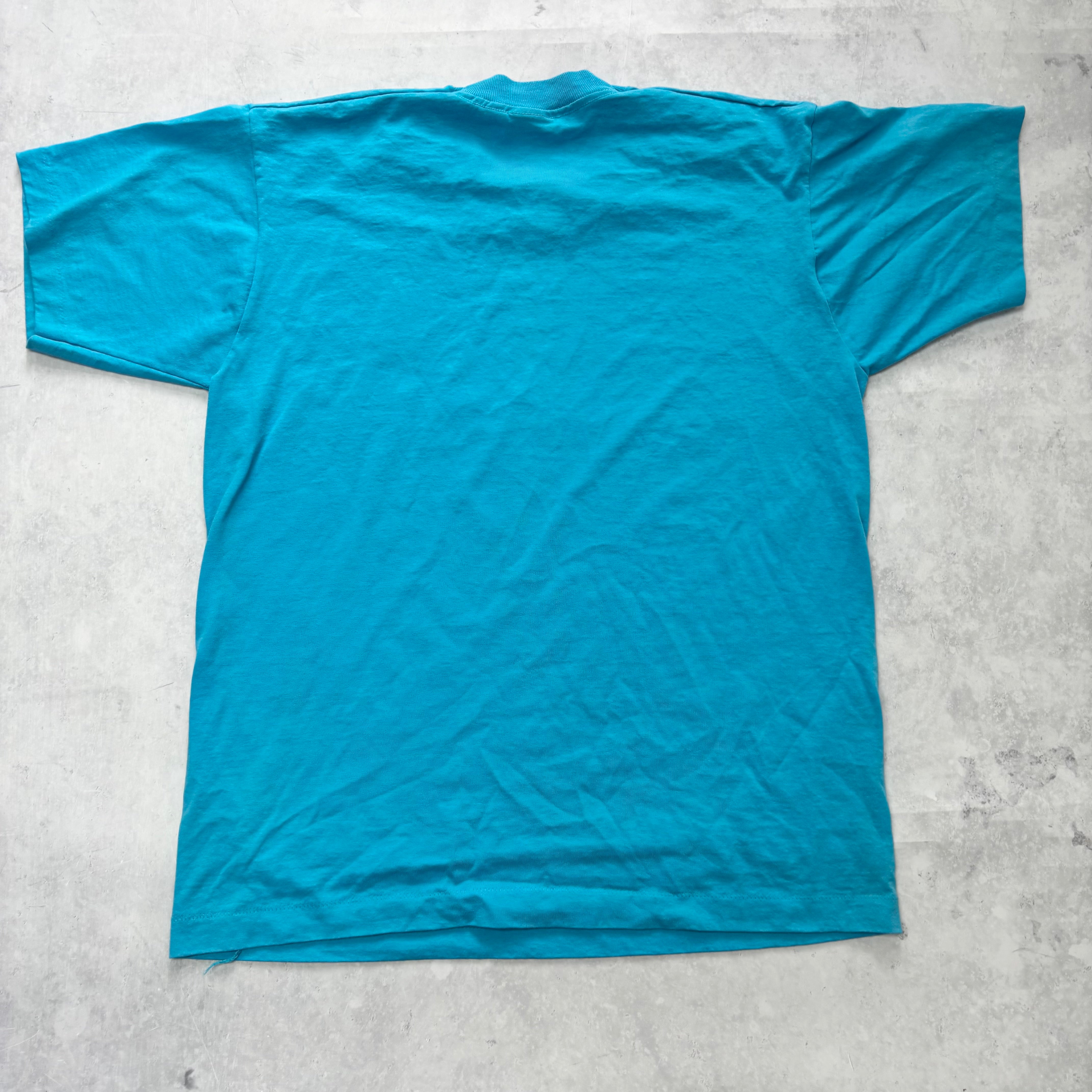 Vintage T Shirt Mens Large Blue Single Stitch Graphic Print 90s USA (E)