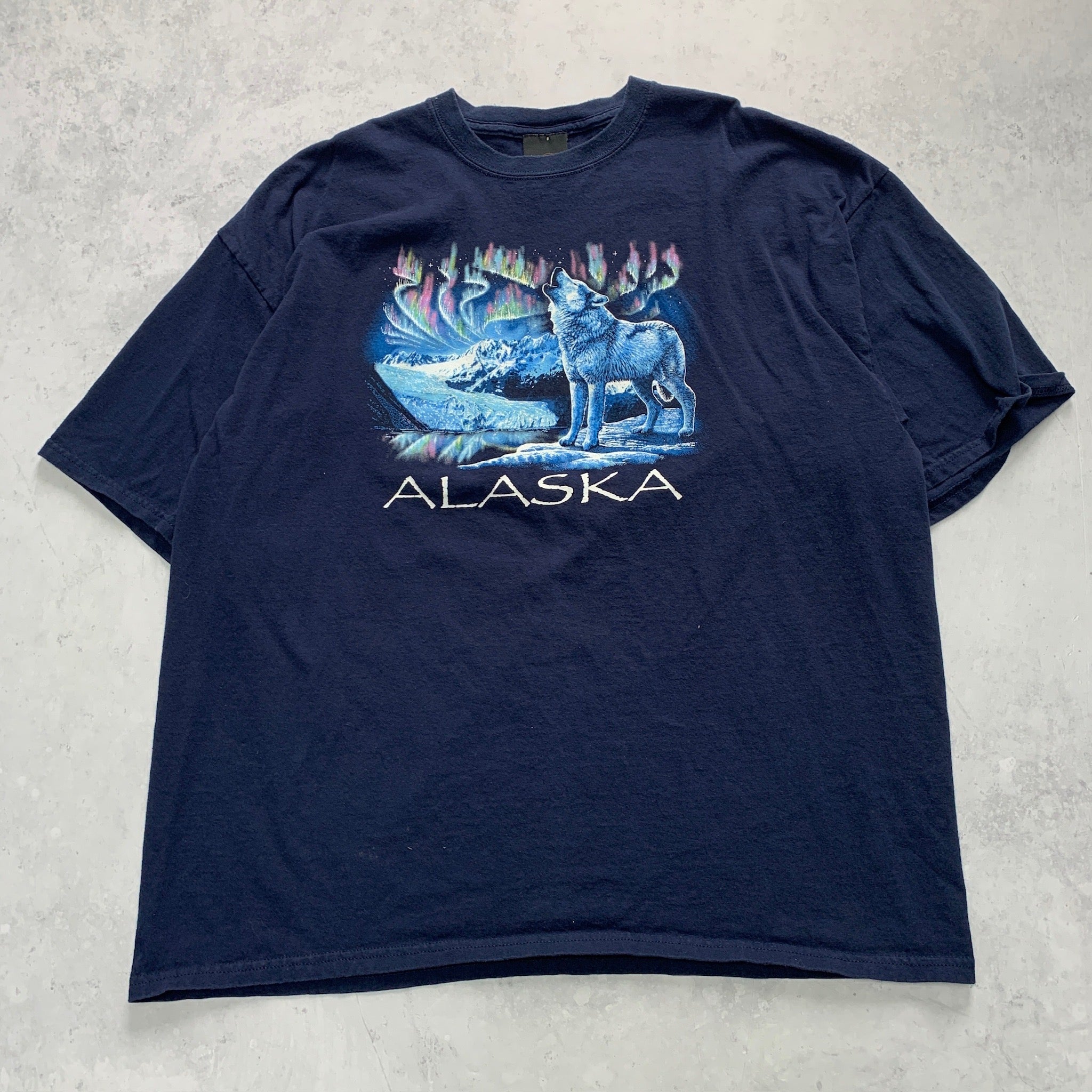 Vintage T Shirt Mens XXL Blue Navy Graphic Print Y2K USA Nature Tourist Alaska