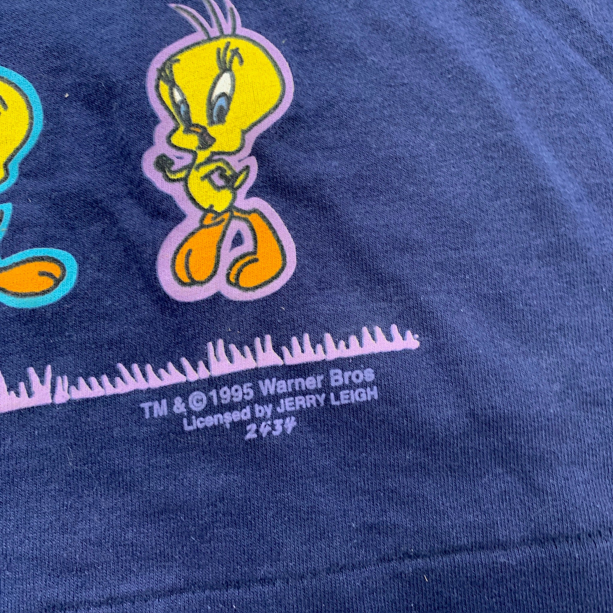 Vintage T Shirt Mens XL Blue Single Stitch Looney Tunes 90s Cartoon Graphic