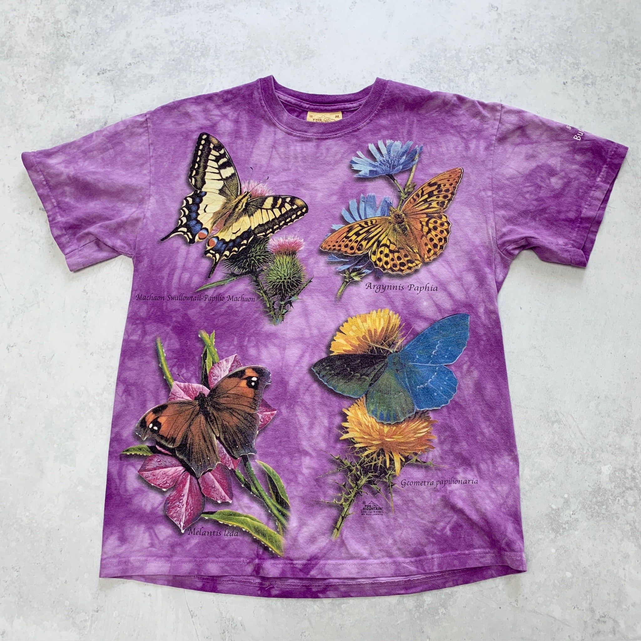 Vintage T Shirt Mens Medium Purple Graphic Print 00s Butterfly Animal Nature