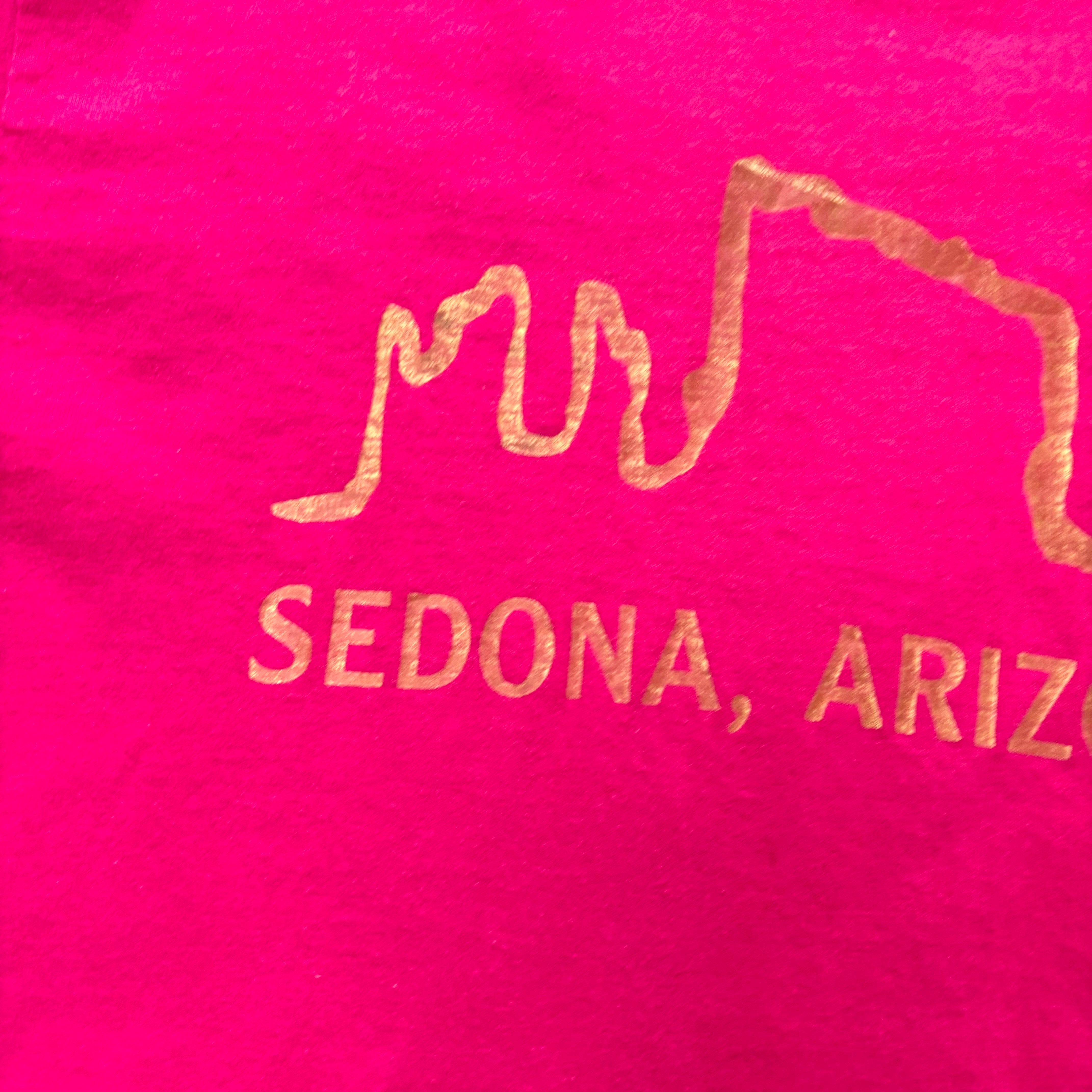 Vintage T Shirt Mens Small Pink Single Stitch Graphic Print 90s USA Tourist (E)