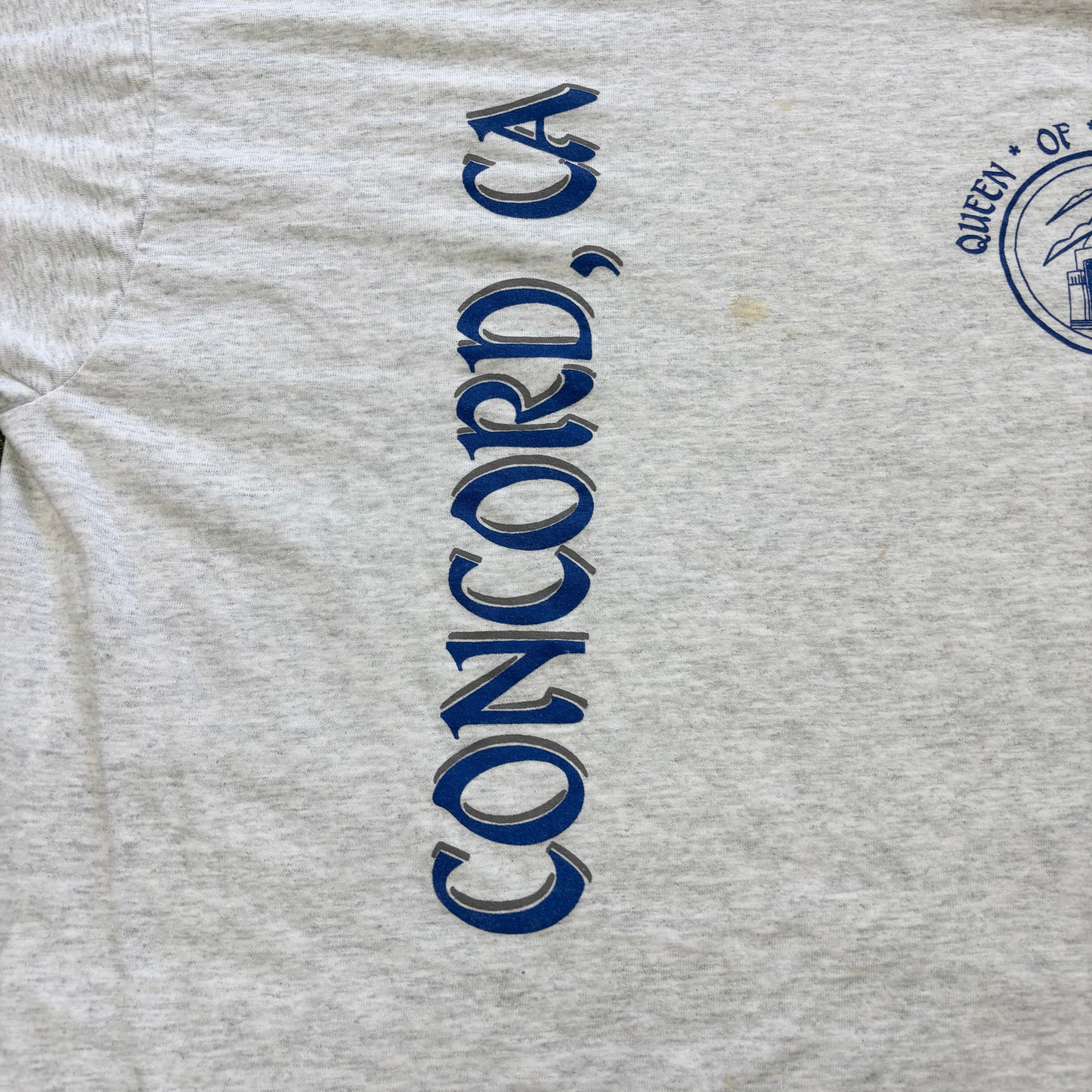 Vintage T Shirt Mens Large Grey Single Stitch Graphic Print 90s USA (F)