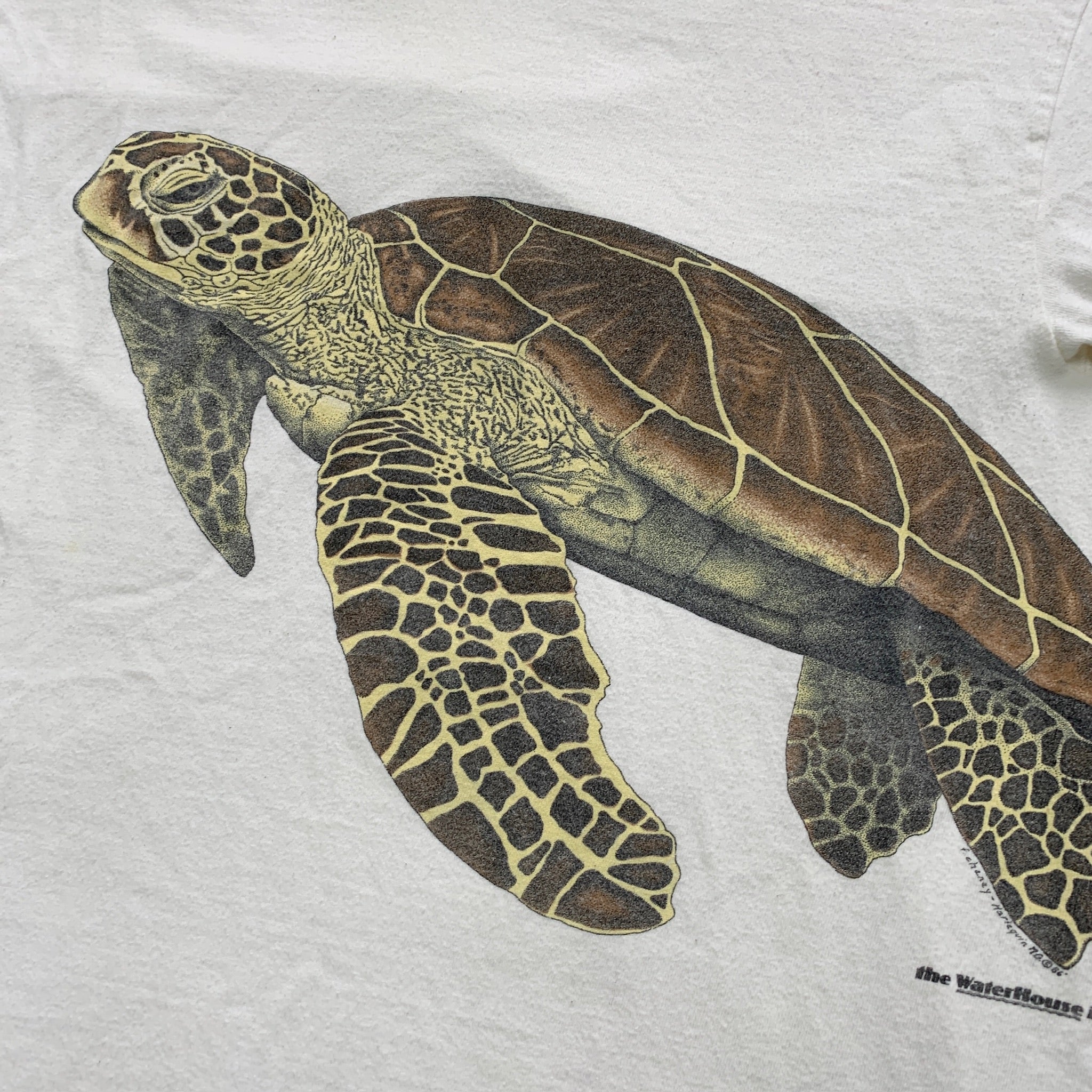 Vintage T Shirt Mens Medium Cream White Single Stitch Graphic Print 90s Turtles