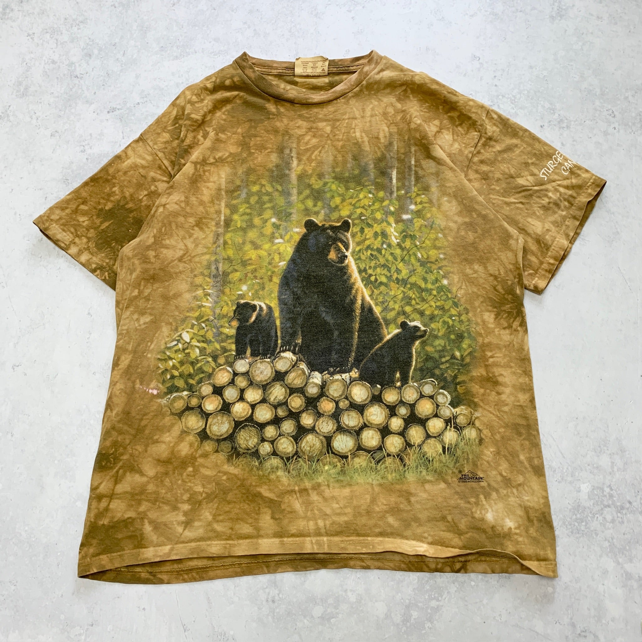 Vintage T Shirt Mens Large Brown Tan Graphic Print 90s Bear The Mountain Nature