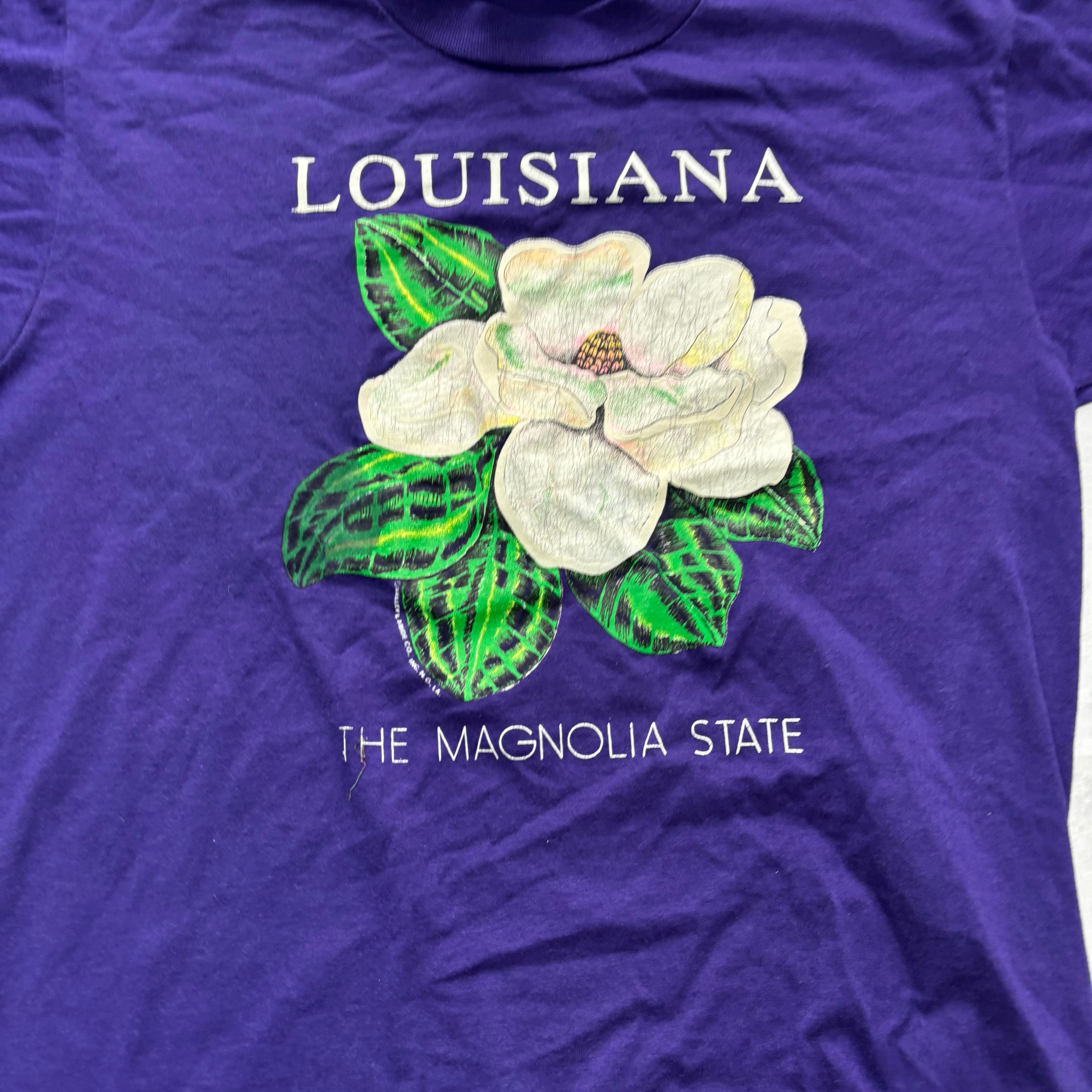 Vintage T Shirt Mens Medium Purple Single Stitch Graphic Print 90s Tourist (E)