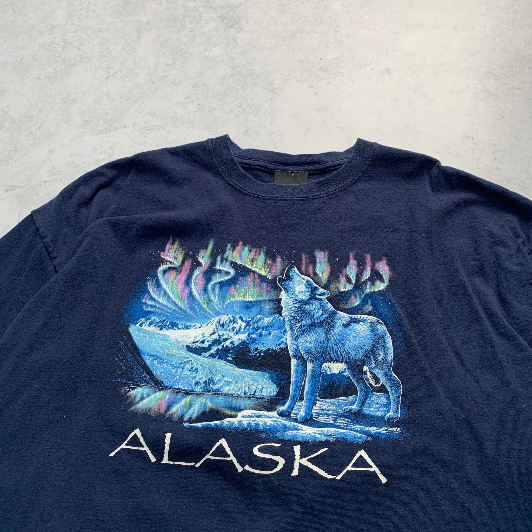 Vintage T Shirt Mens XXL Blue Navy Graphic Print Y2K USA Nature Tourist Alaska