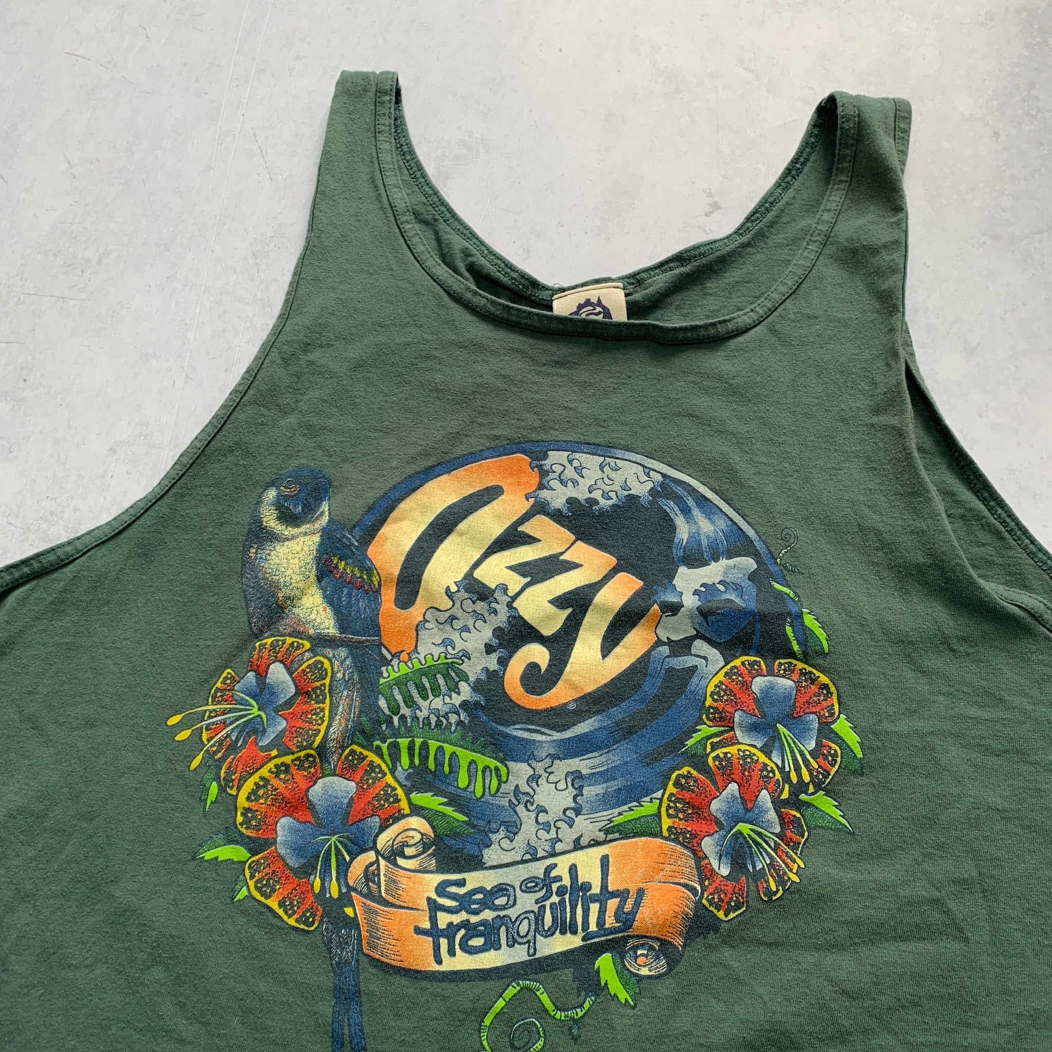 Vintage T Shirt Mens XL Green Single Stitch Graphic Print 90s USA Tourist Vest