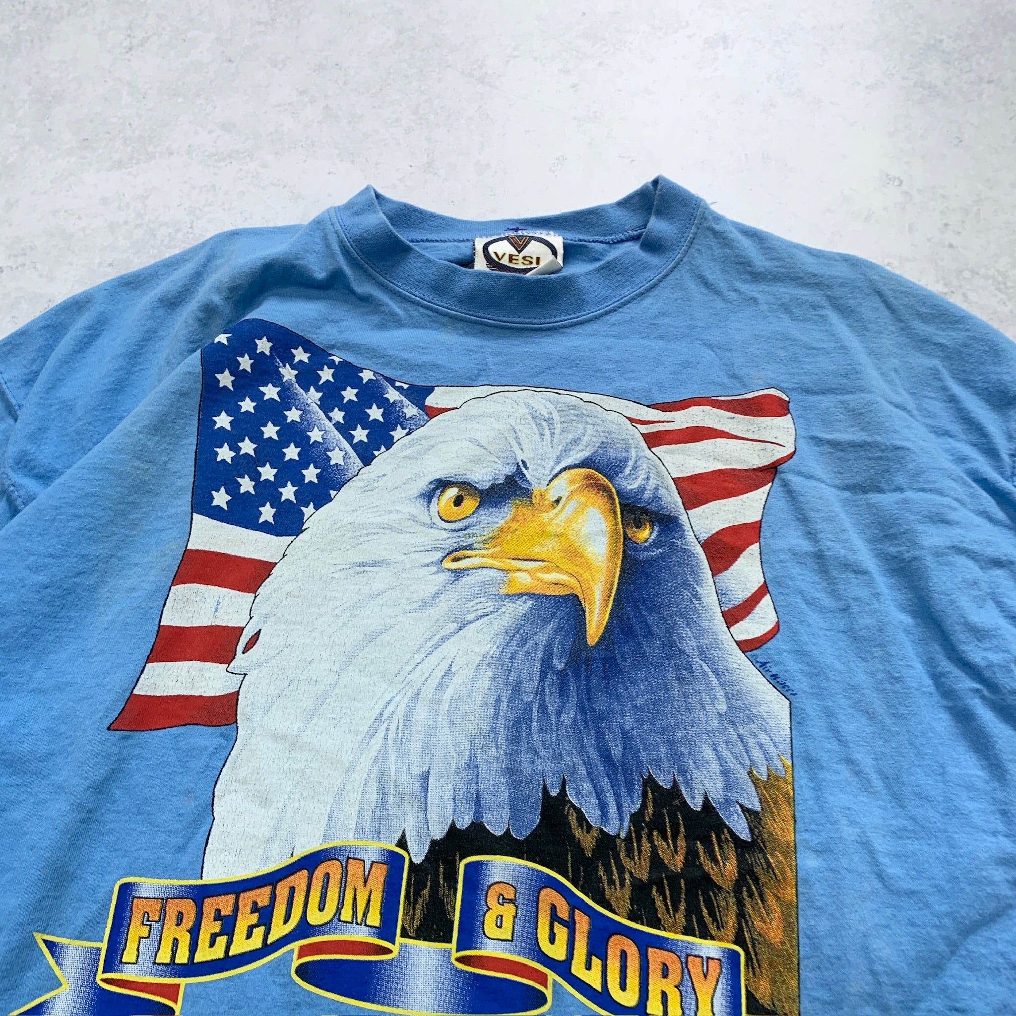 Vintage T Shirt Mens XL Blue Graphic Print Y2K USA Eagle