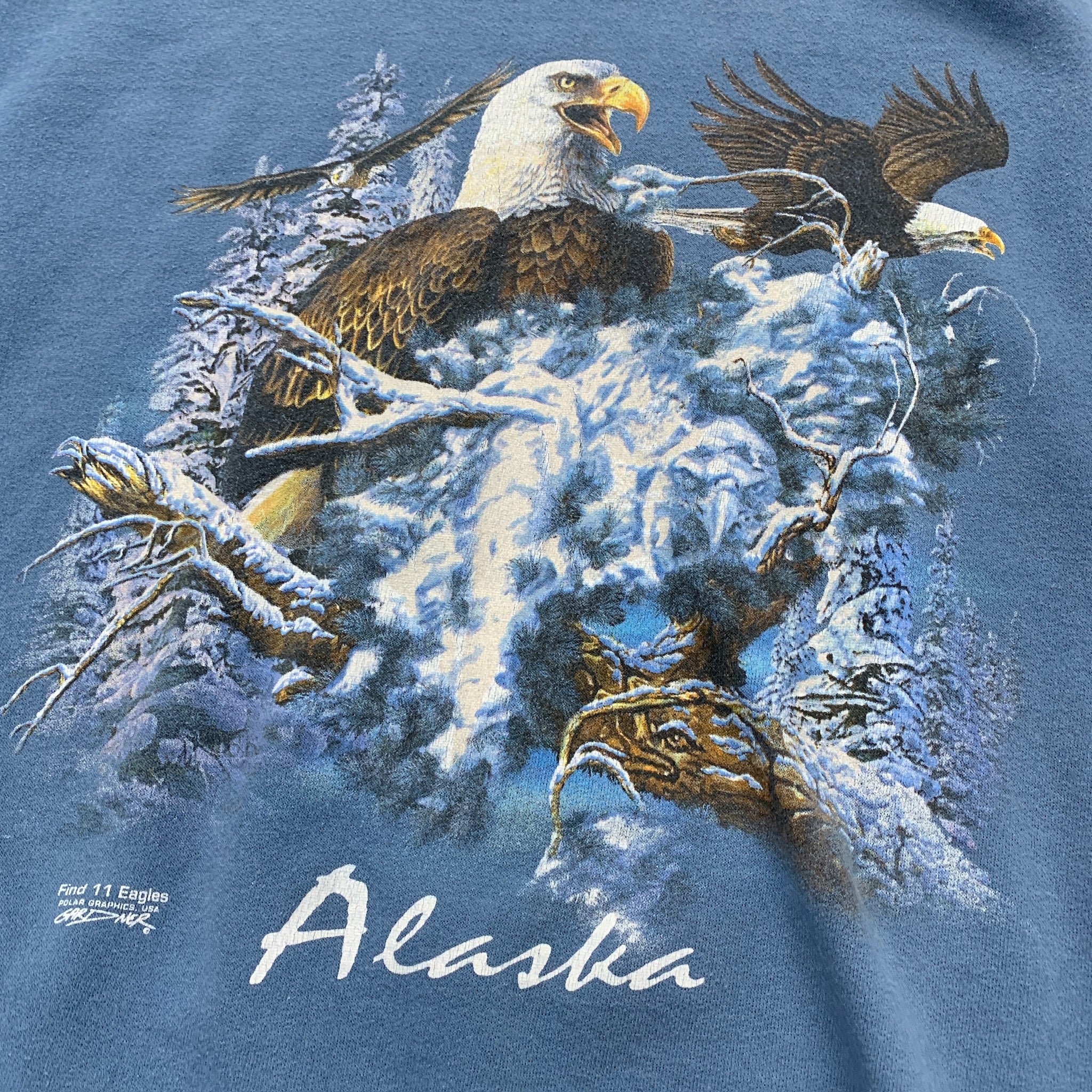 Vintage Sweatshirt Mens Large Blue Graphic Print 90s USA Nature Tourist Alaska