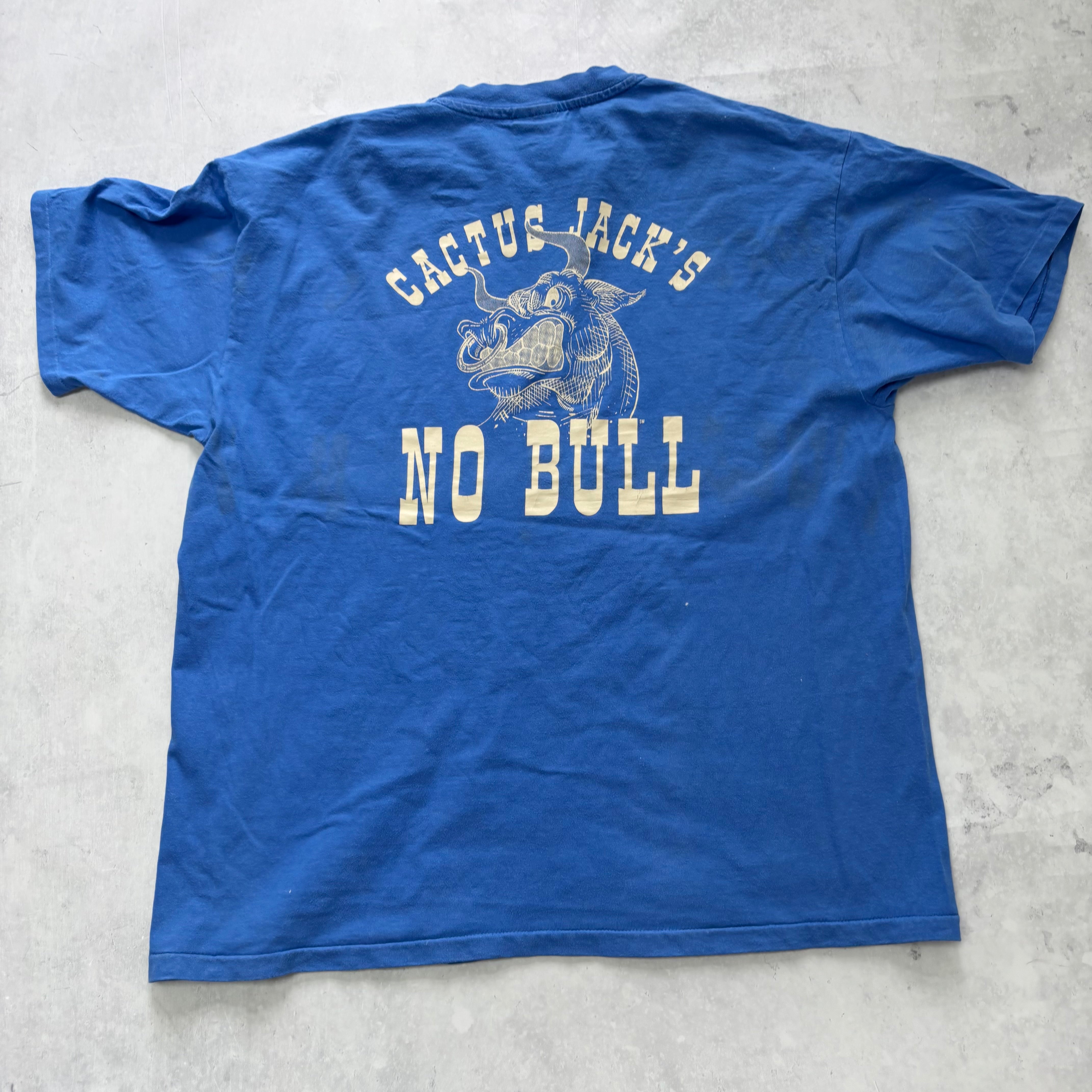 Vintage T Shirt Mens XL Blue Single Stitch Graphic Print 90s USA (F)