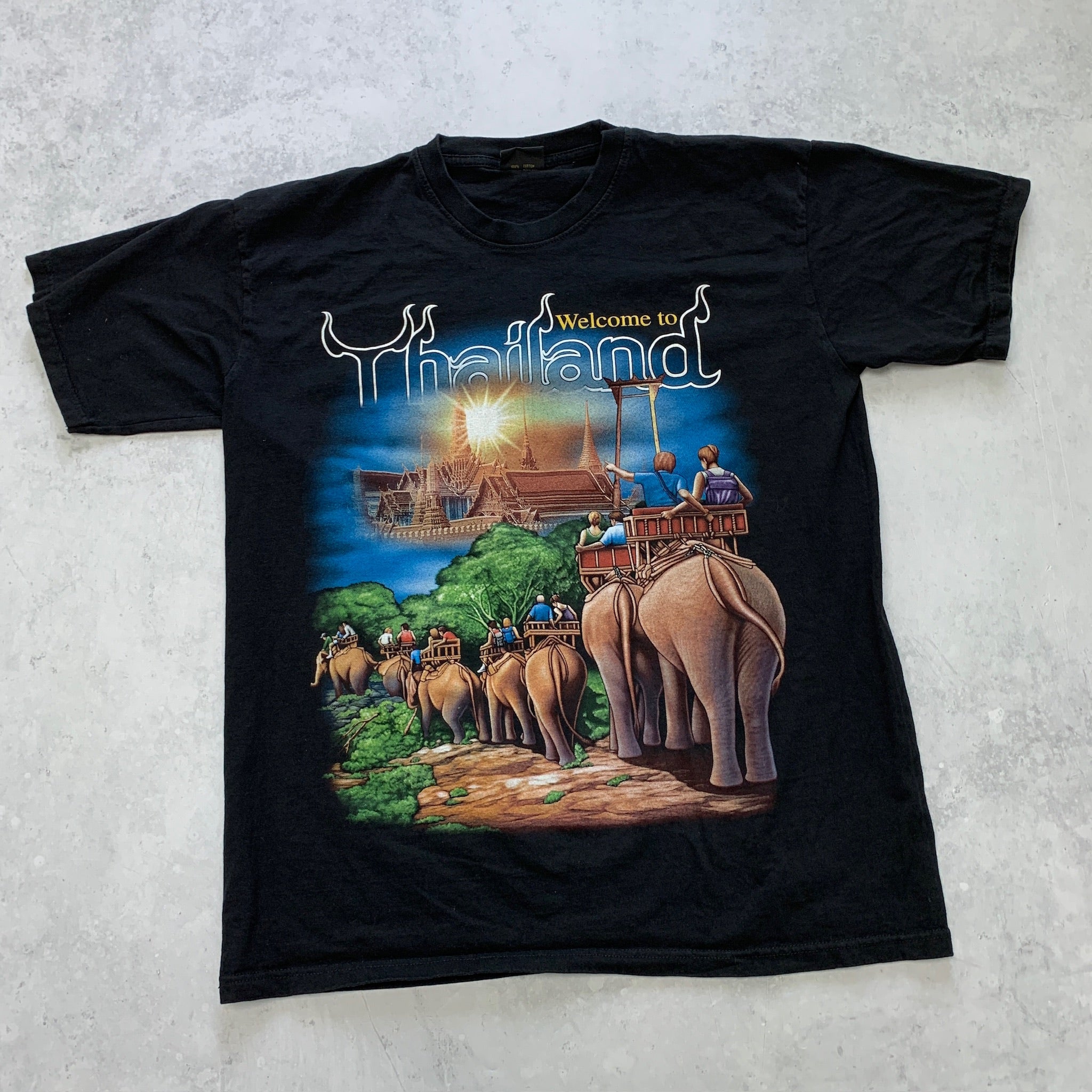 Vintage T Shirt Mens Large Black Graphic Print Y2K Nature Tourist Thailand