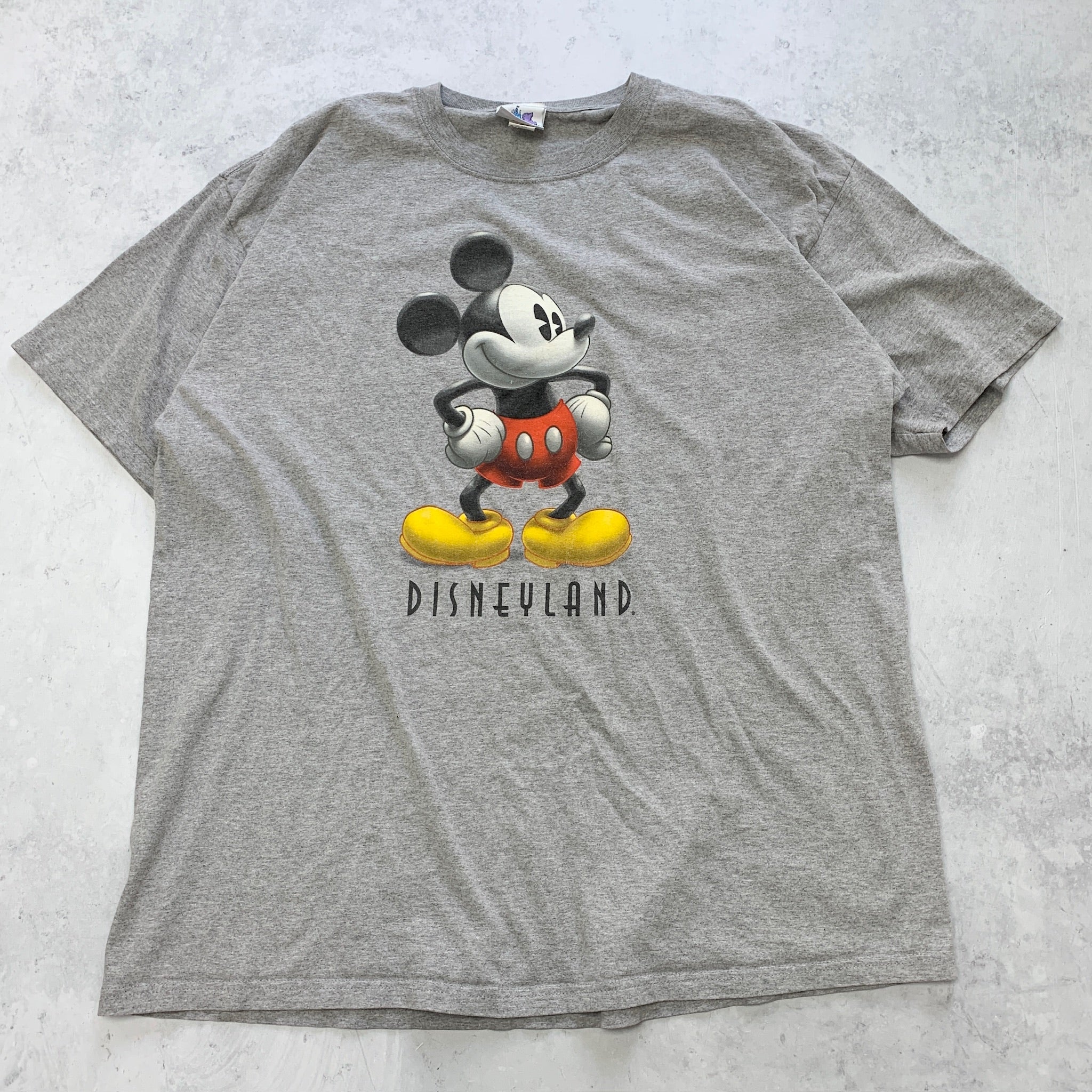 Vintage T Shirt Mens 3XL Grey Disney Y2K Tourist Graphic Print Disneyland