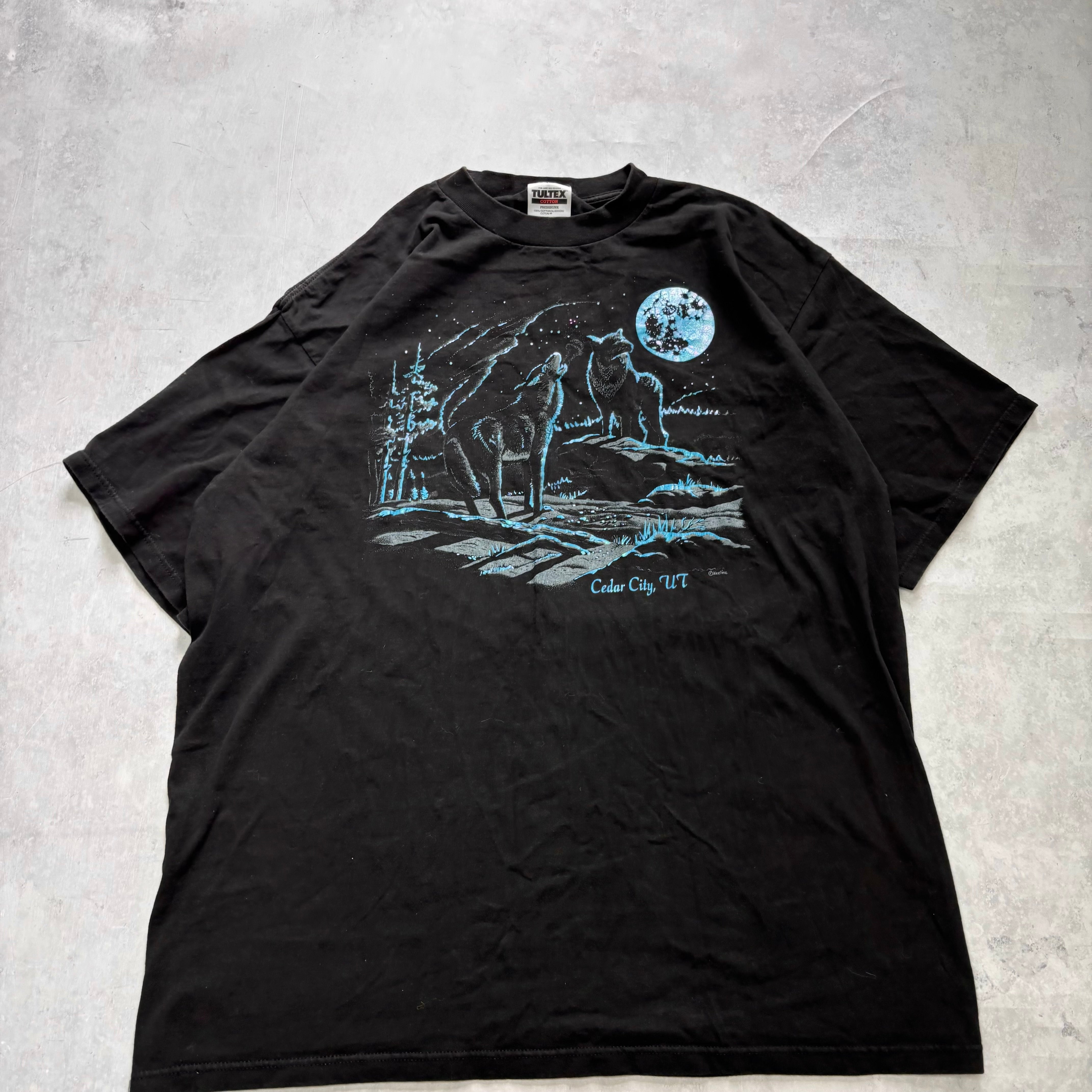 Vintage T Shirt Mens XXL Black Graphic Print 90s Nature USA