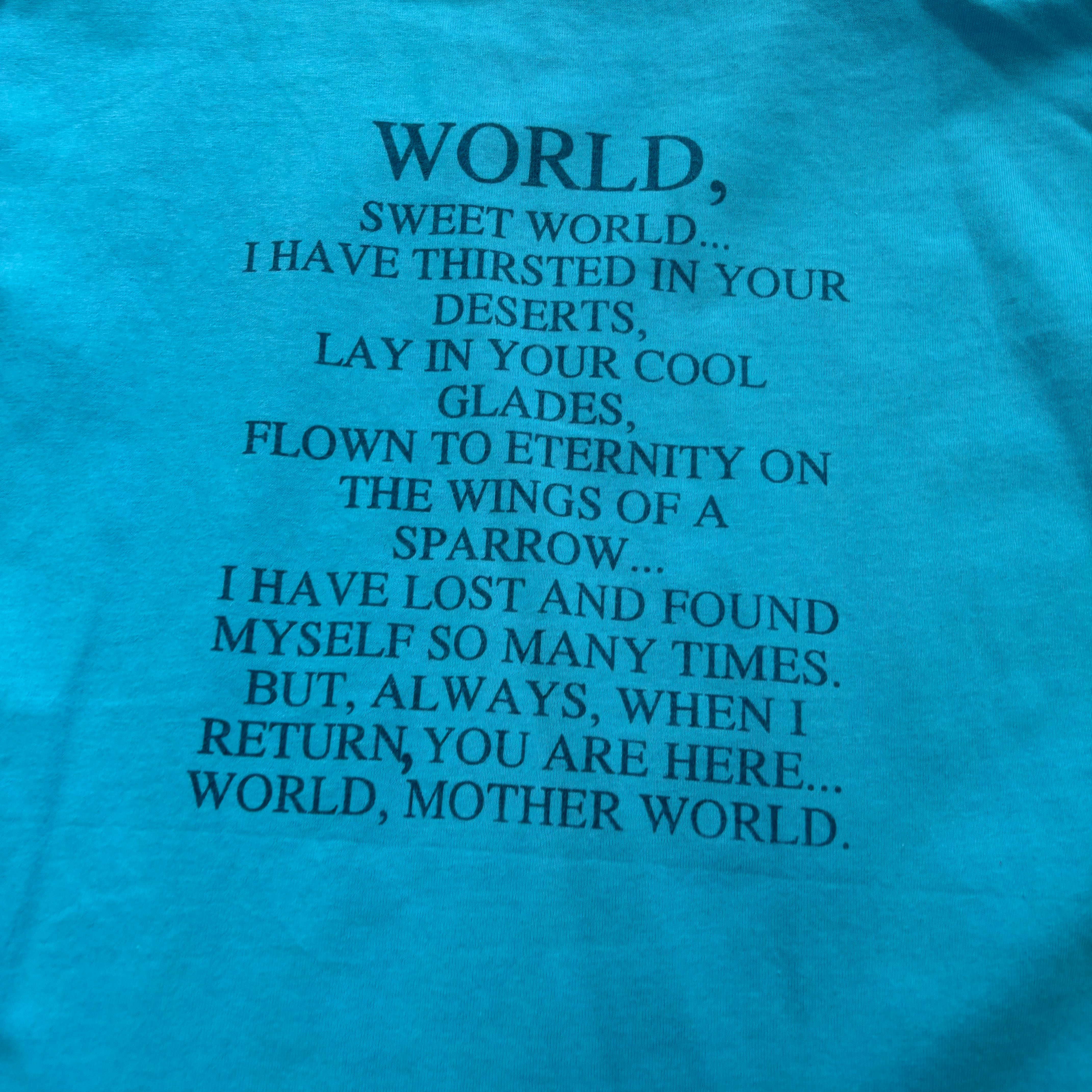 Vintage T Shirt Mens XL Blue Single Stitch Graphic Print 90s World (E)