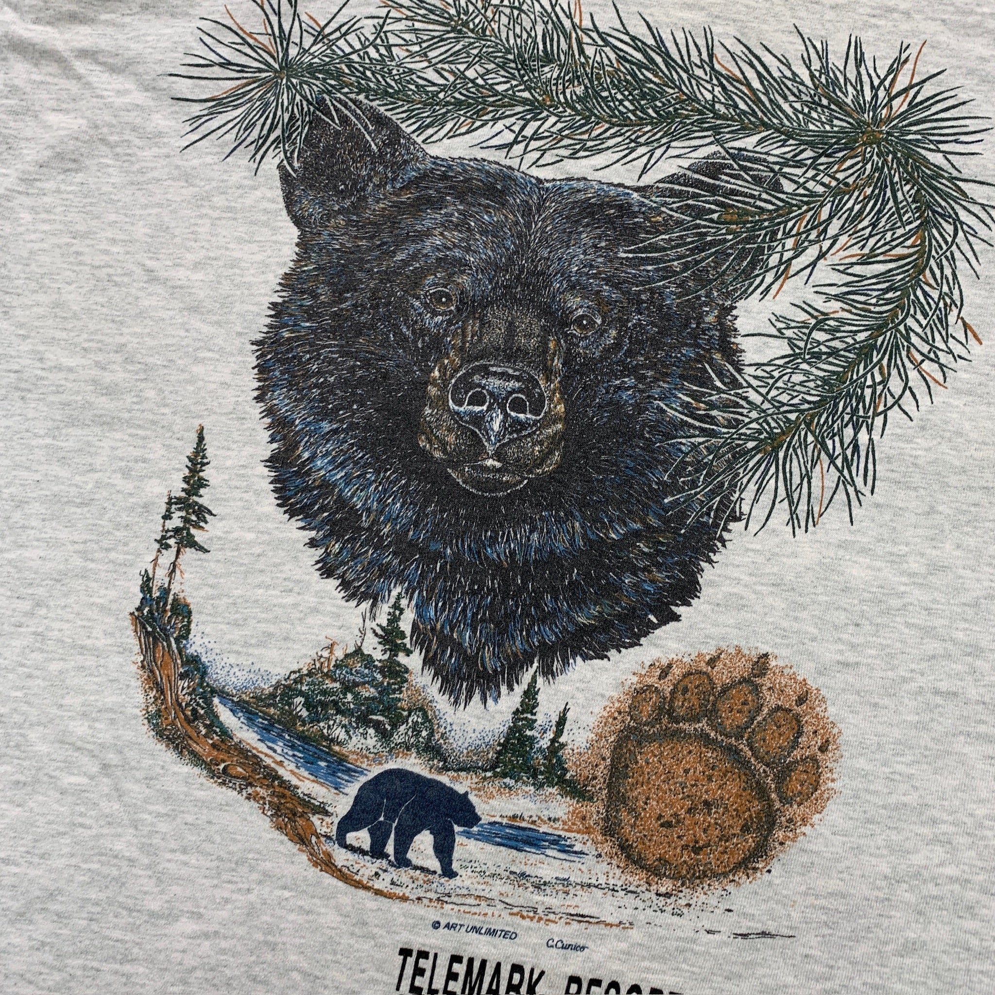 Vintage T Shirt Mens Large Grey Single Stitch Graphic Print 90s USA Nature