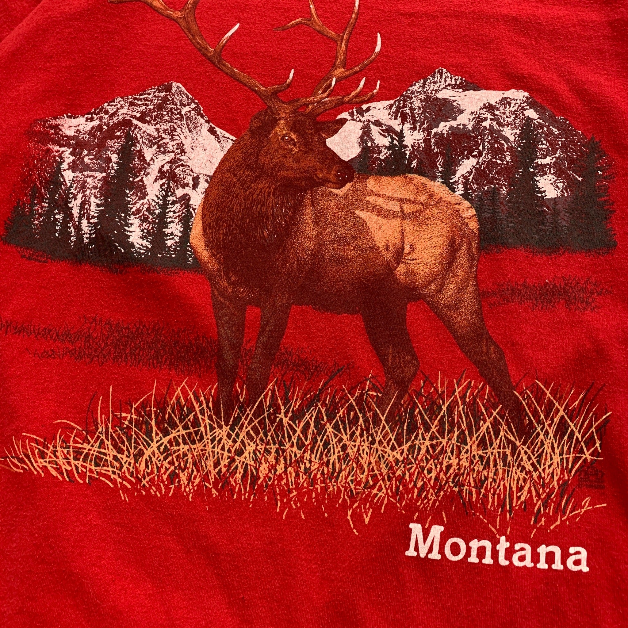 Vintage T Shirt Mens Medium Red Single Stitch Graphic Print 90s USA Nature