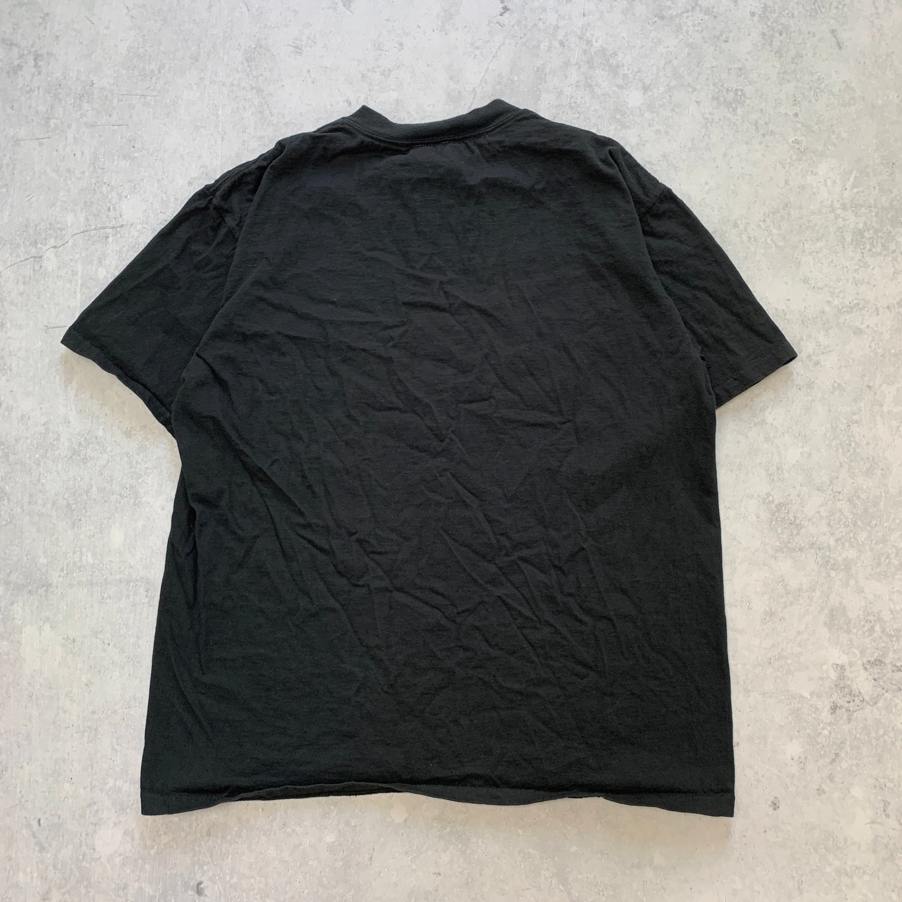 Vintage T Shirt Mens Medium Black Single Stitch Graphic Print 90s Nature USA