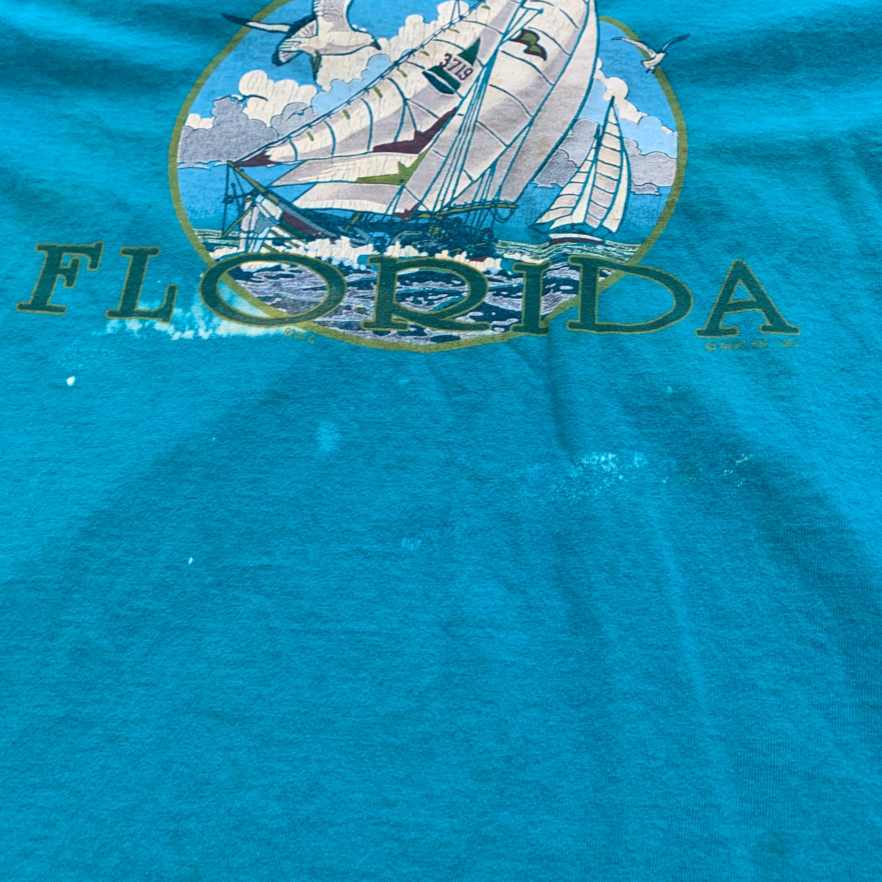 Vintage T Shirt Mens Large Blue Single Stitch Graphic Print 90s Tourist Florida