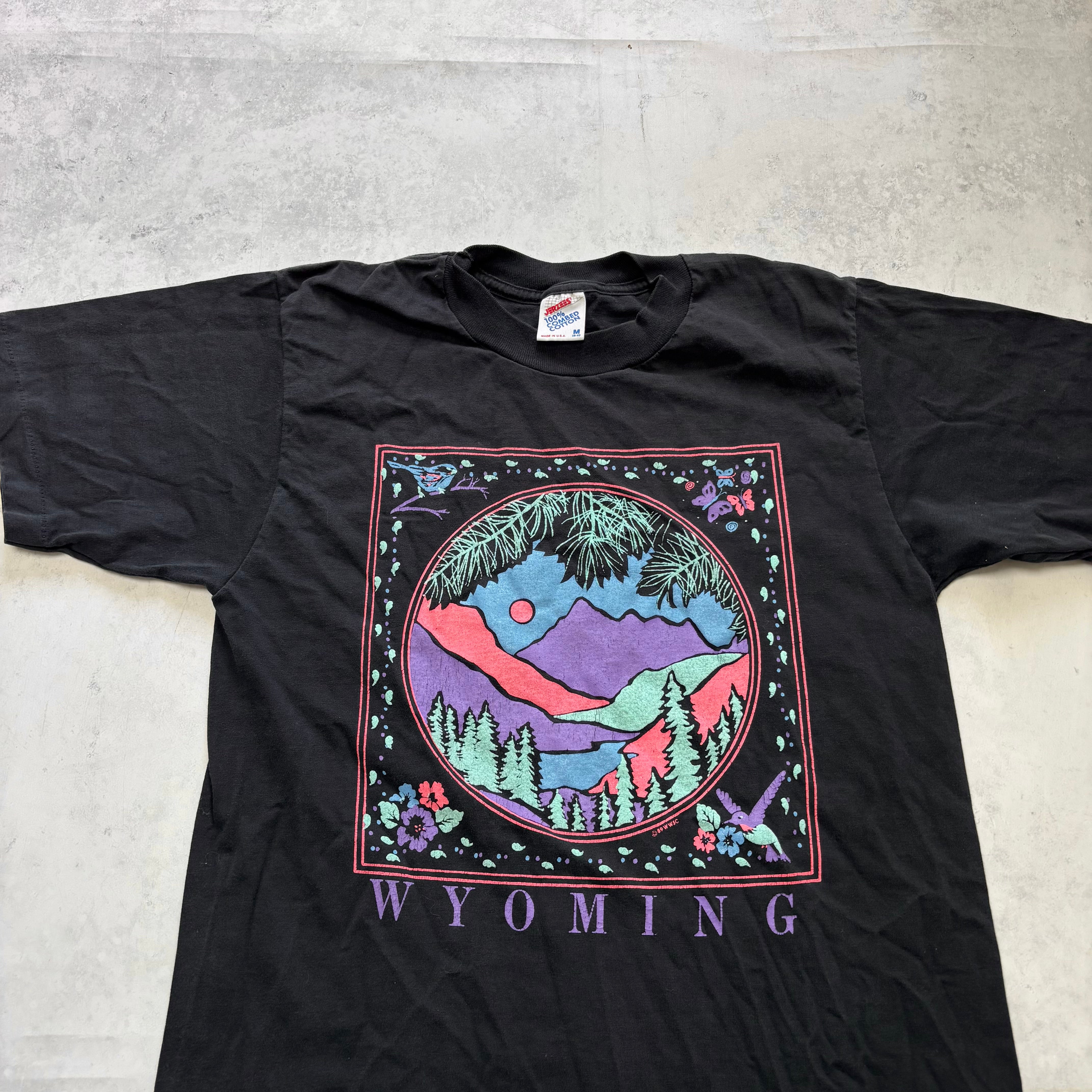 Vintage T Shirt Mens Small Black Single Stitch Graphic Print 80s USA Tourist (E)