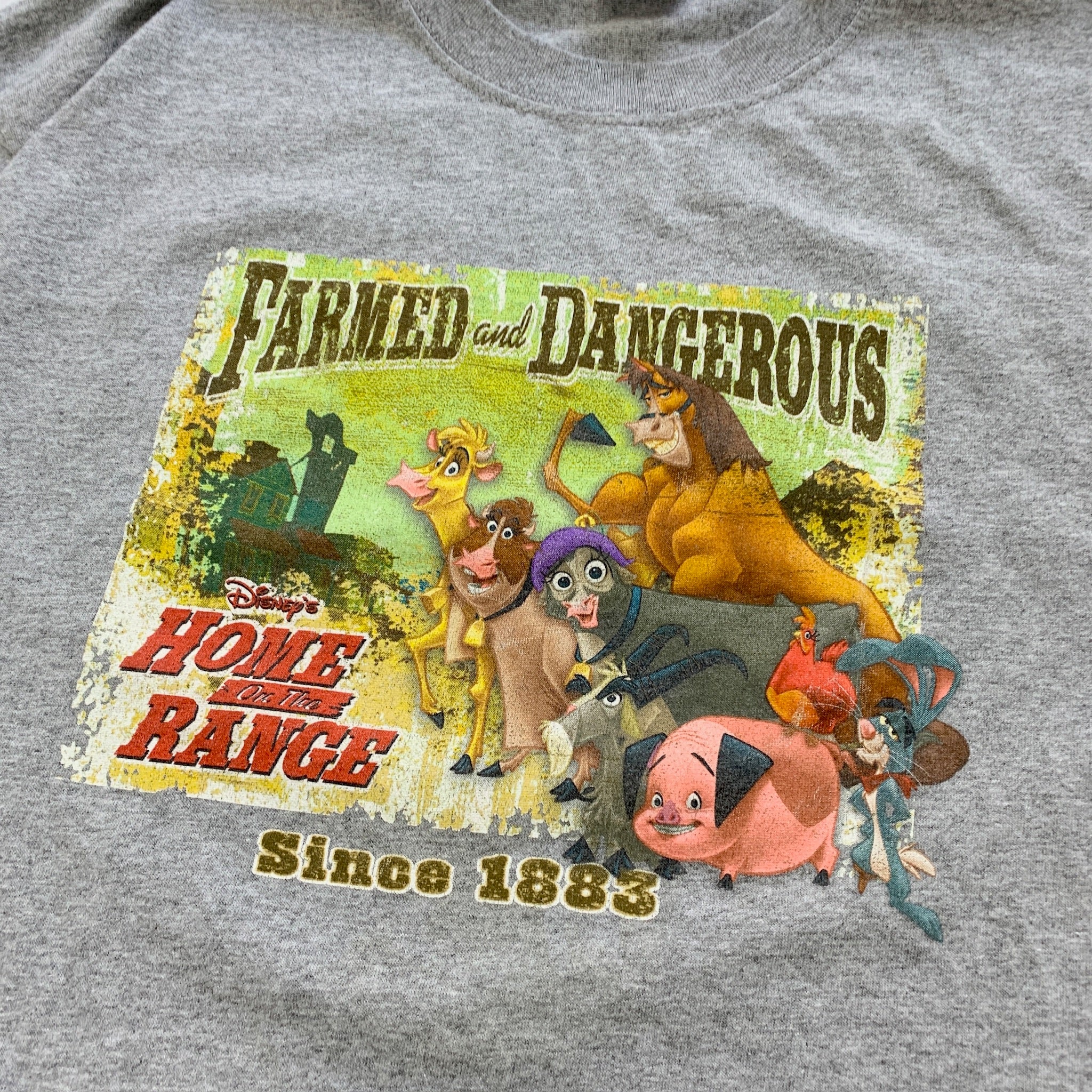 Vintage T Shirt Mens XL Grey Graphic Print Disney Movie Promo Film Y2K