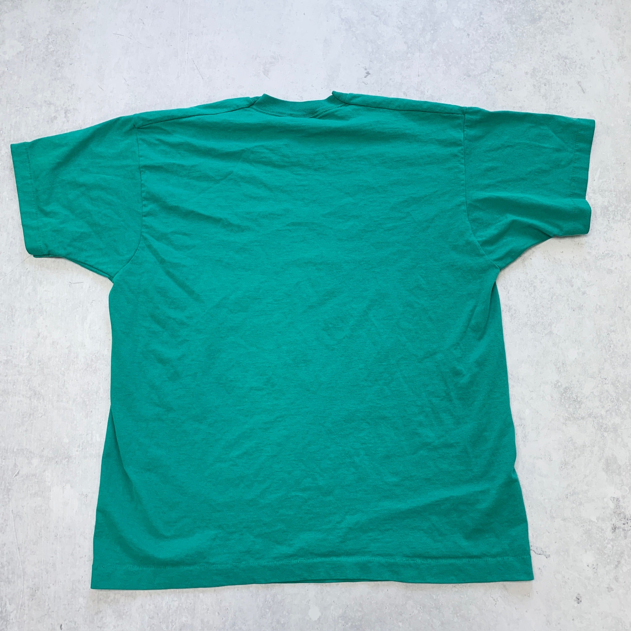 Vintage T Shirt Mens XL Teal Green Single Stitch Graphic Print 90s USA Tourist