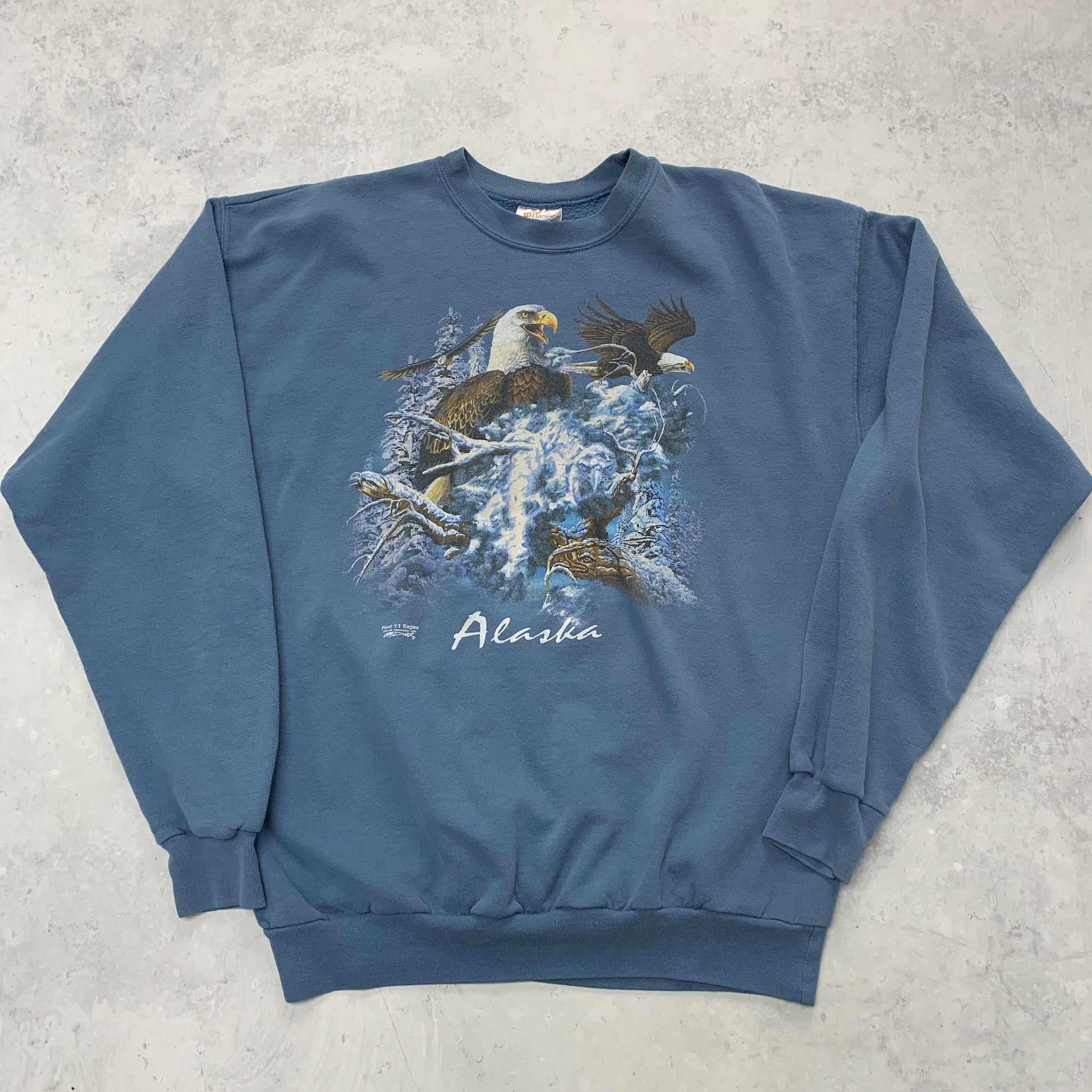 Vintage Sweatshirt Mens Large Blue Graphic Print 90s USA Nature Tourist Alaska