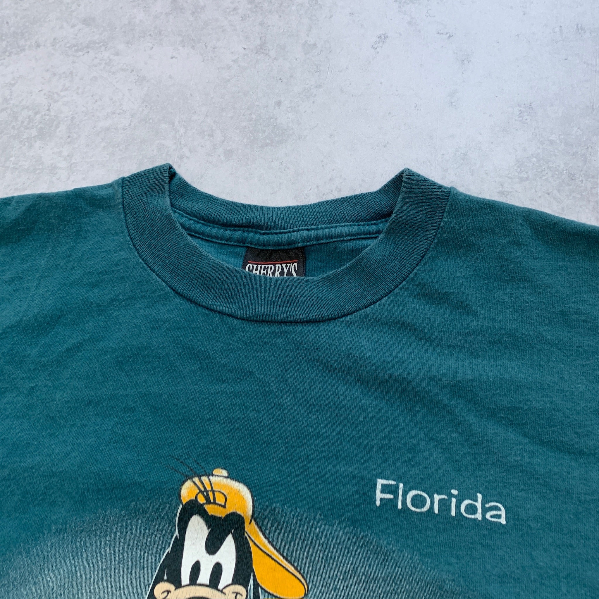 Vintage T Shirt Mens Large Green Disney 90s Tourist Graphic Print Florida