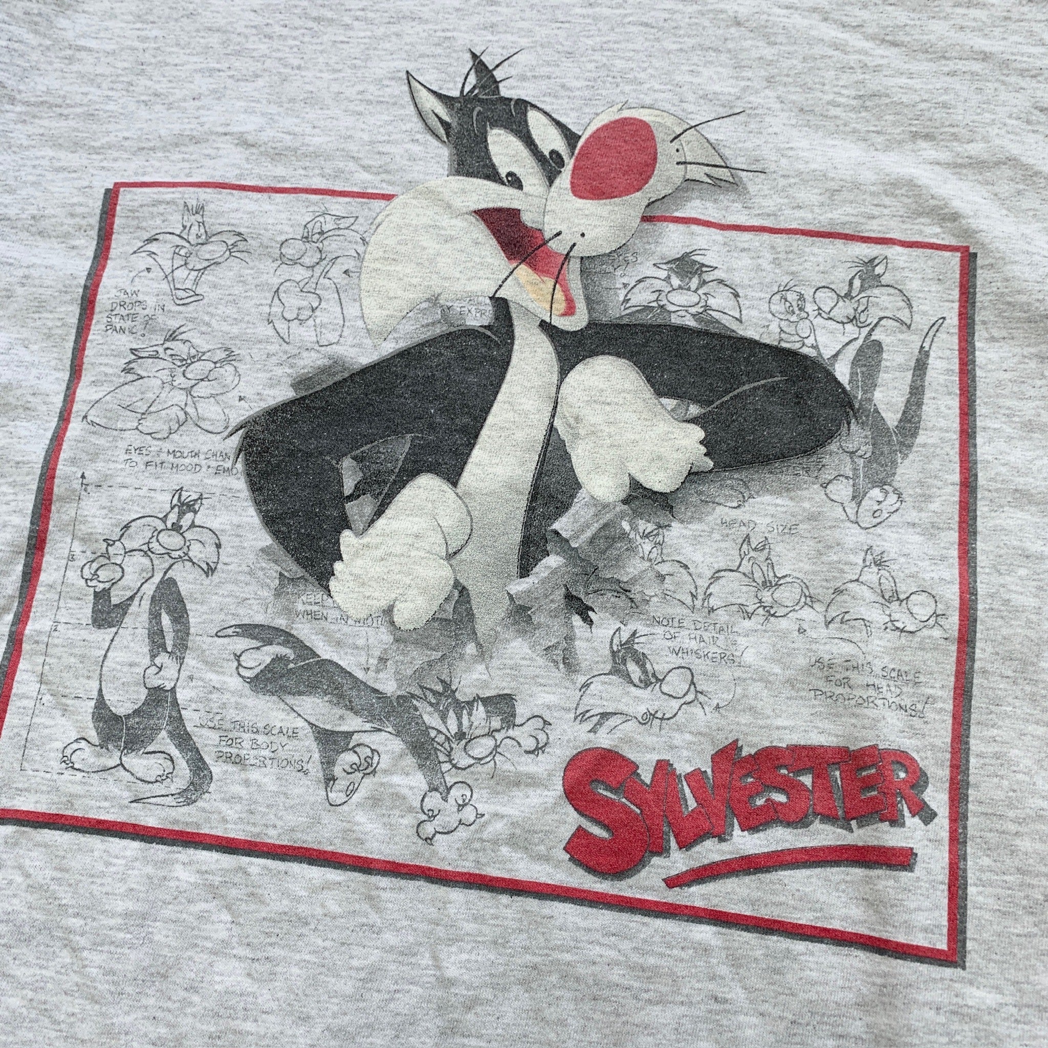 Vintage T Shirt Mens XL Grey Looney Tunes Single Stitch 90s Cartoon Graphic