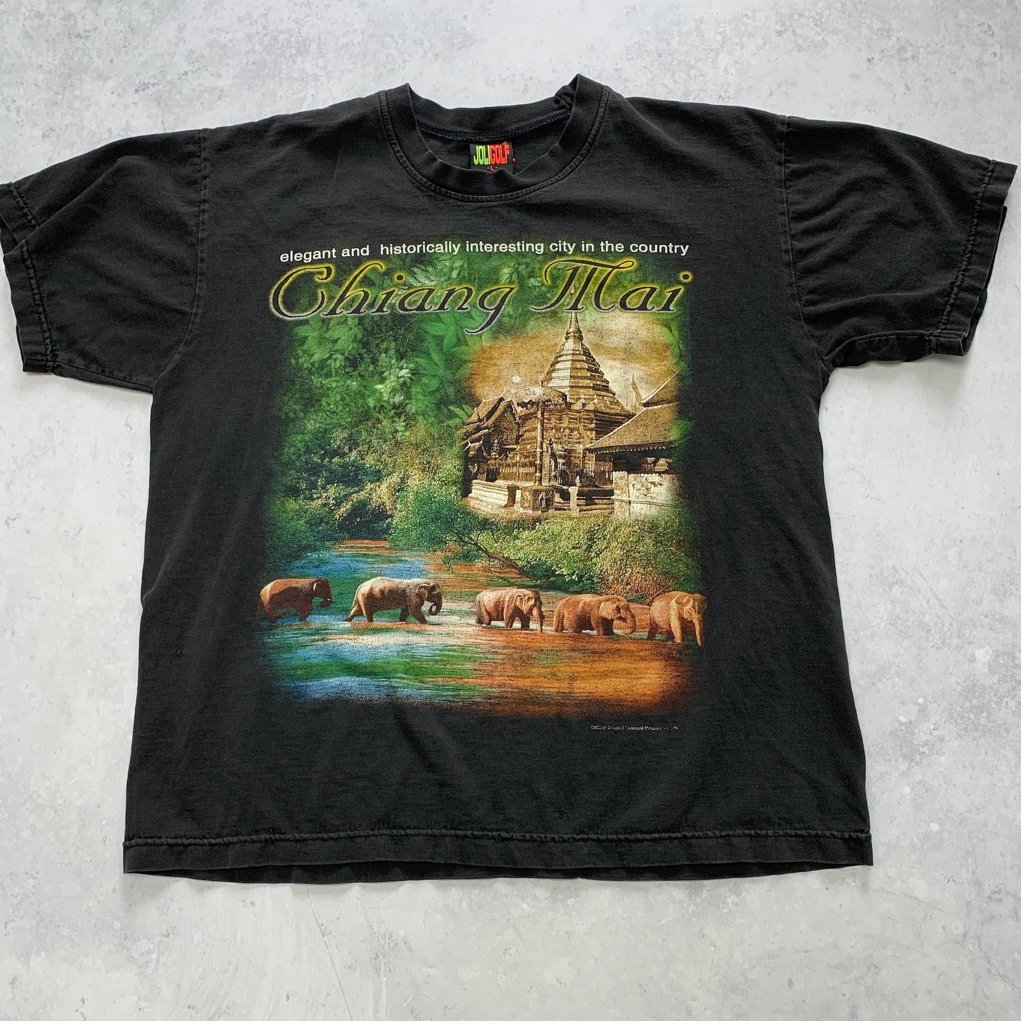 Vintage T Shirt Mens Medium Black Graphic Print Y2K Tourist Faded