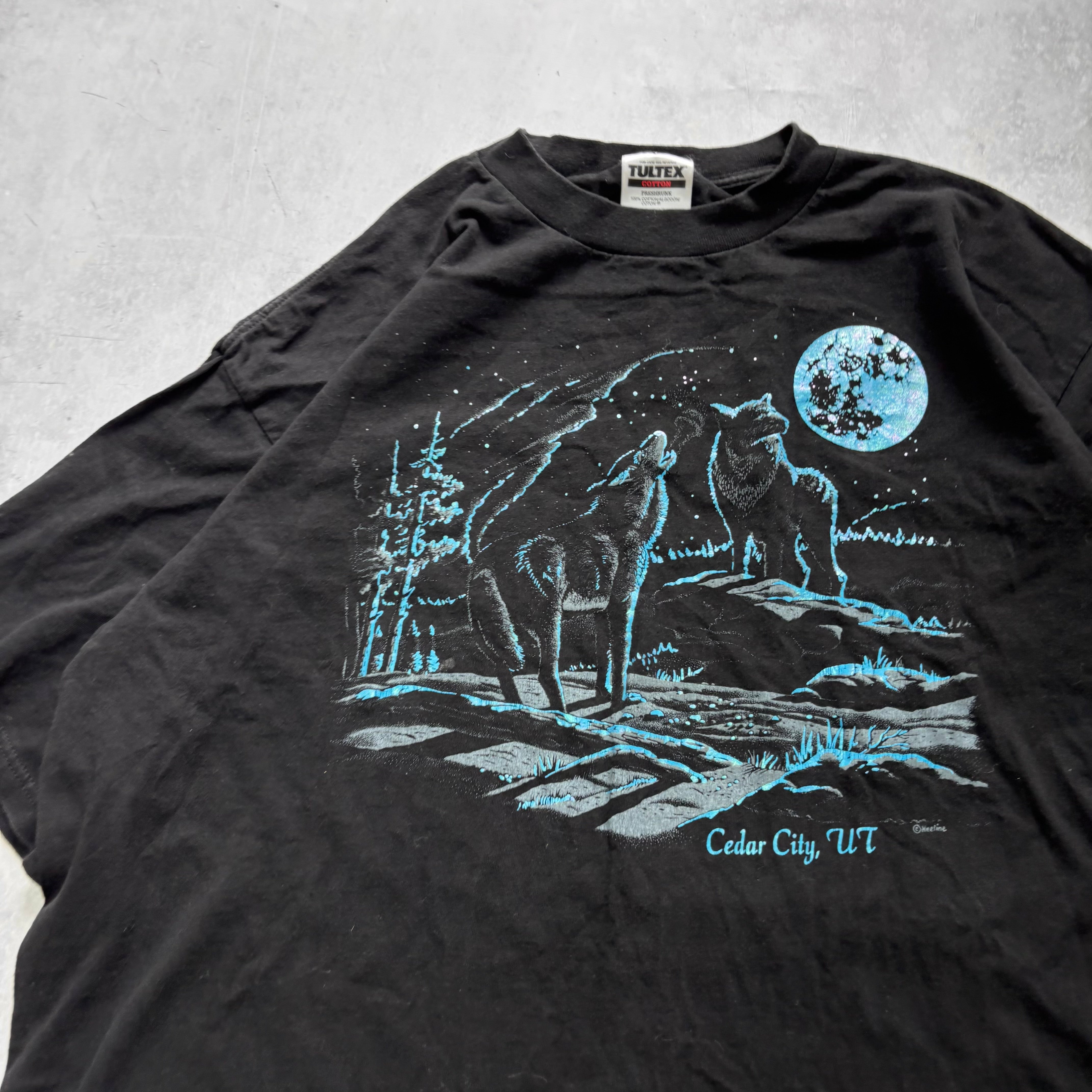 Vintage T Shirt Mens XXL Black Graphic Print 90s Nature USA