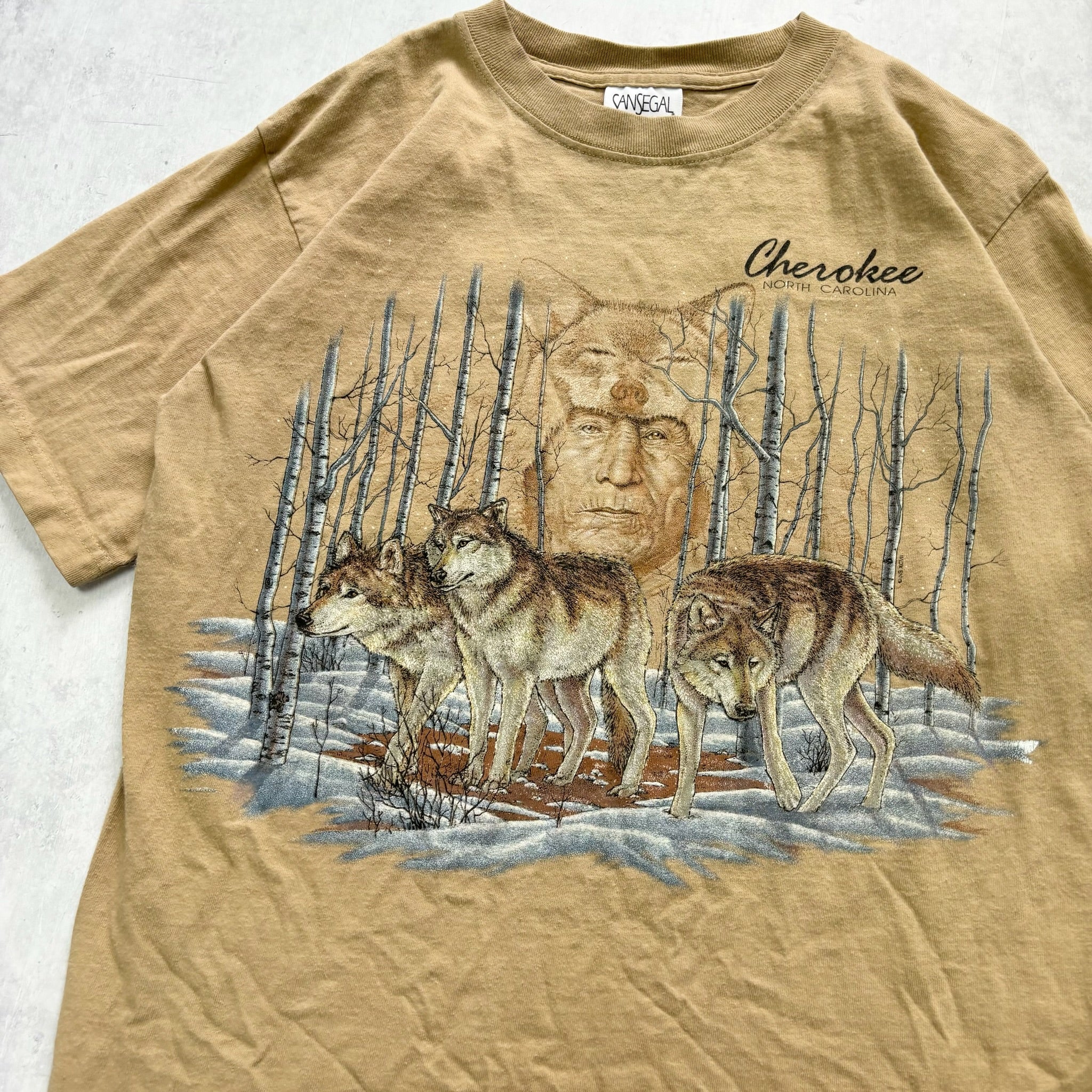 Vintage T Shirt Mens Small Tan Beige Graphic Print 90s USA Western