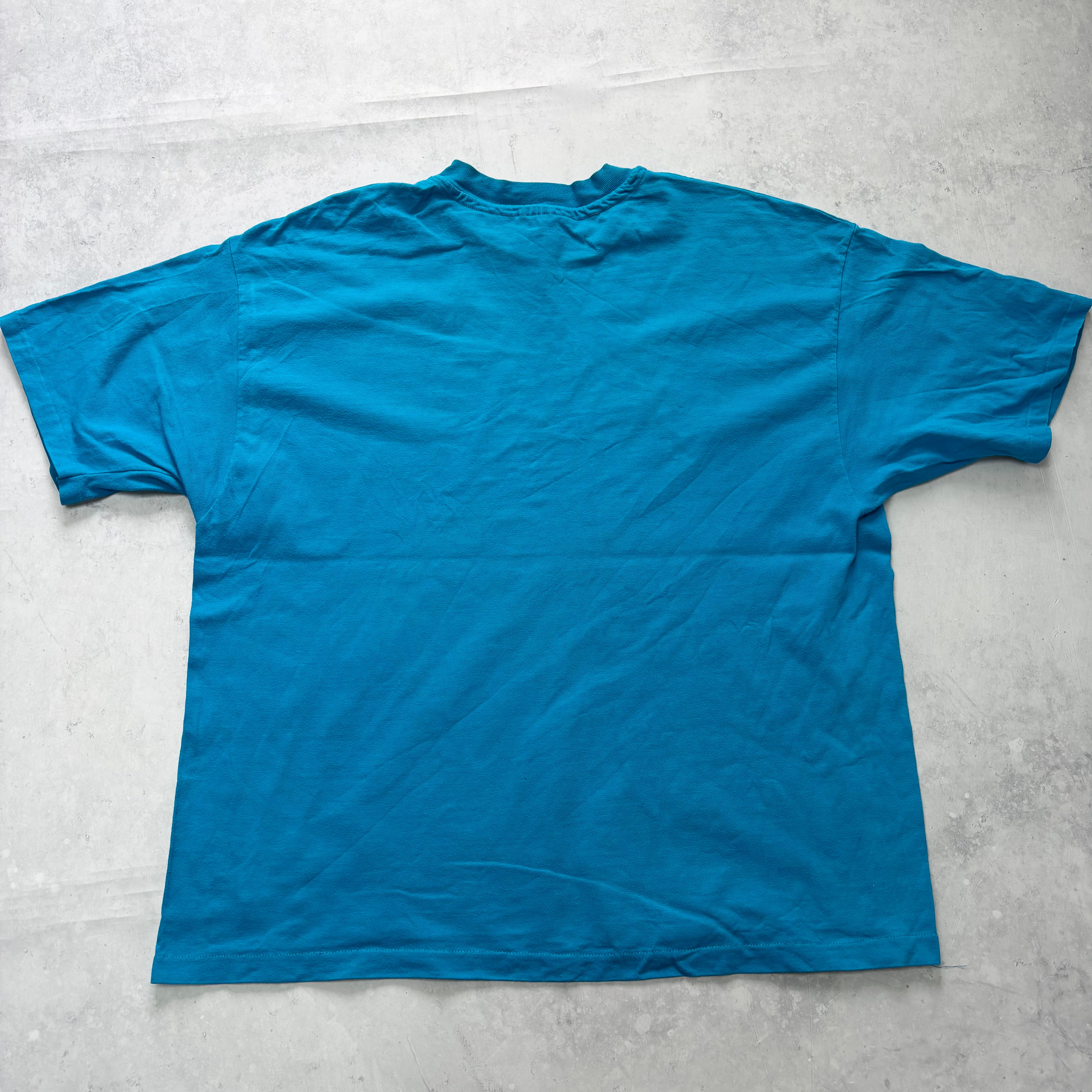 Vintage T Shirt Mens XL Blue Single Stitch Graphic Print 90s Tourist Beefy (E)