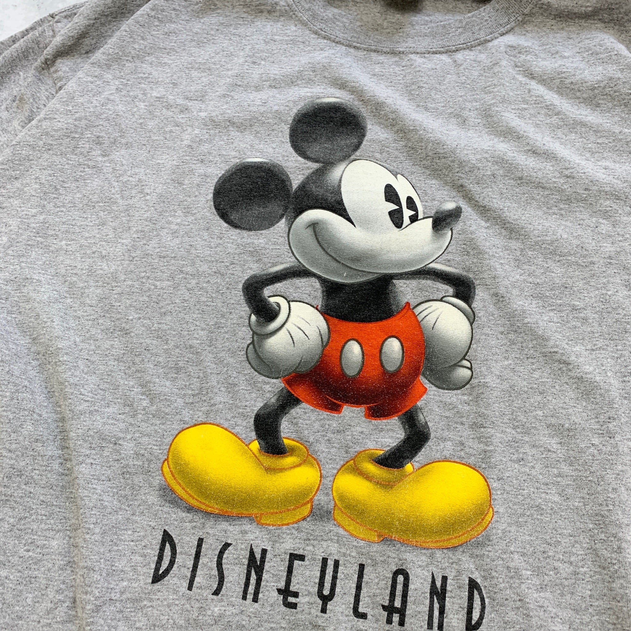 Vintage T Shirt Mens 3XL Grey Disney Y2K Tourist Graphic Print Disneyland