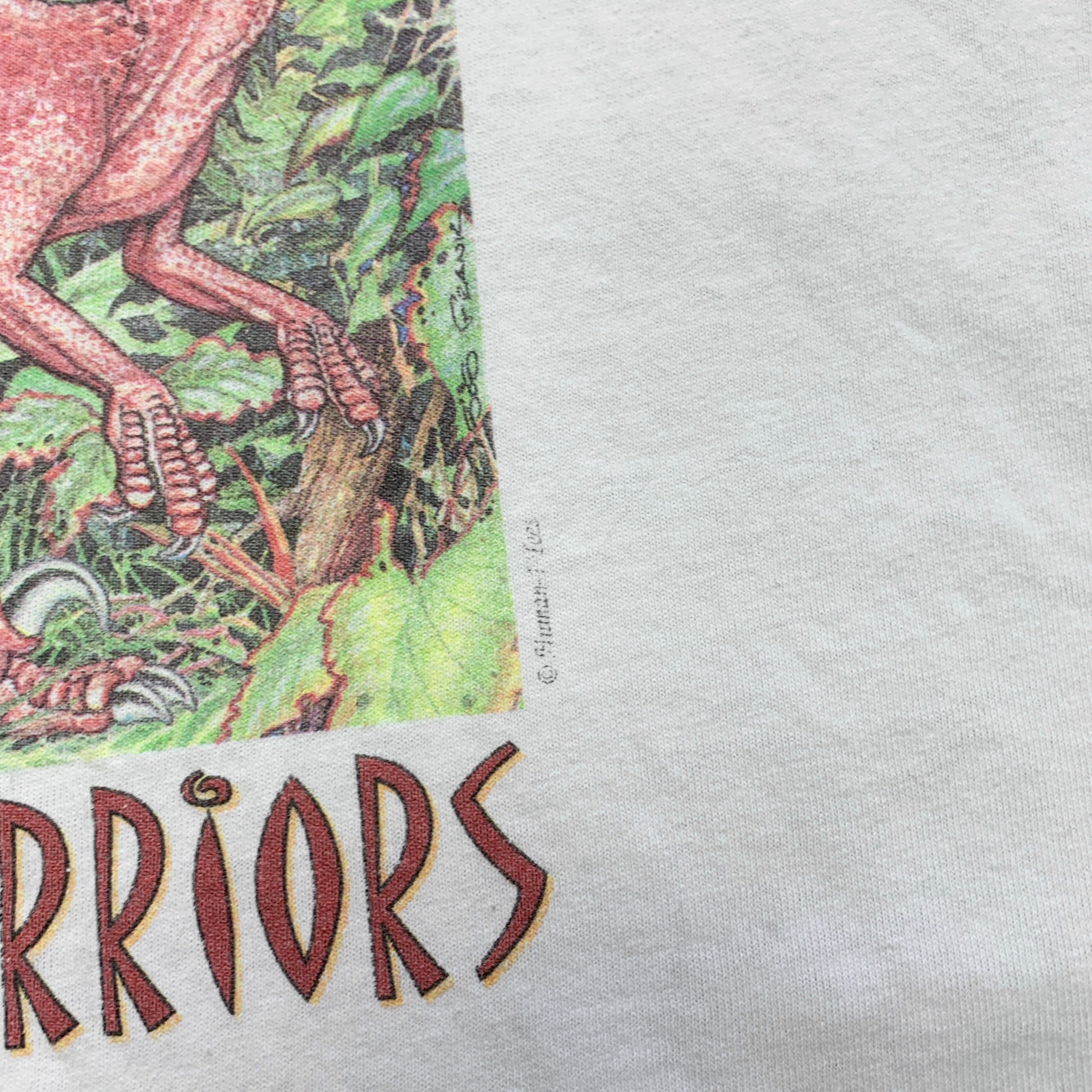 Vintage T Shirt Mens XL White Single Stitch Graphic Print 90s Nature Dinorsaur