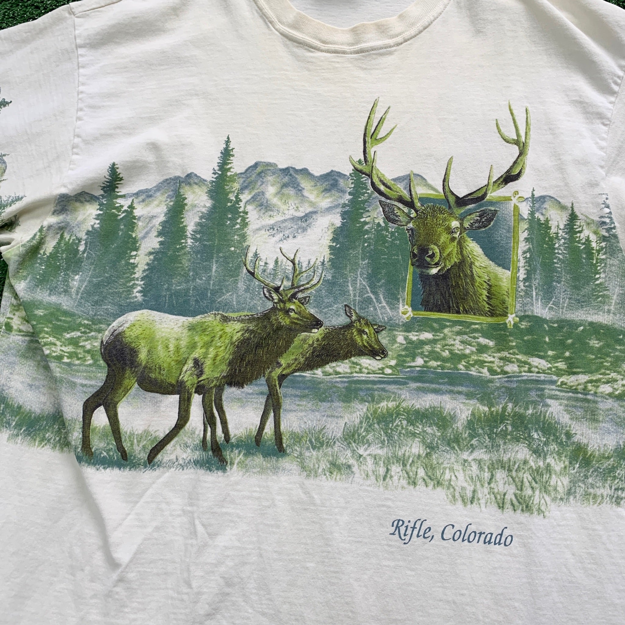 Vintage T Shirt Mens XL Cream White Graphic Print 90s USA Tourist Nature