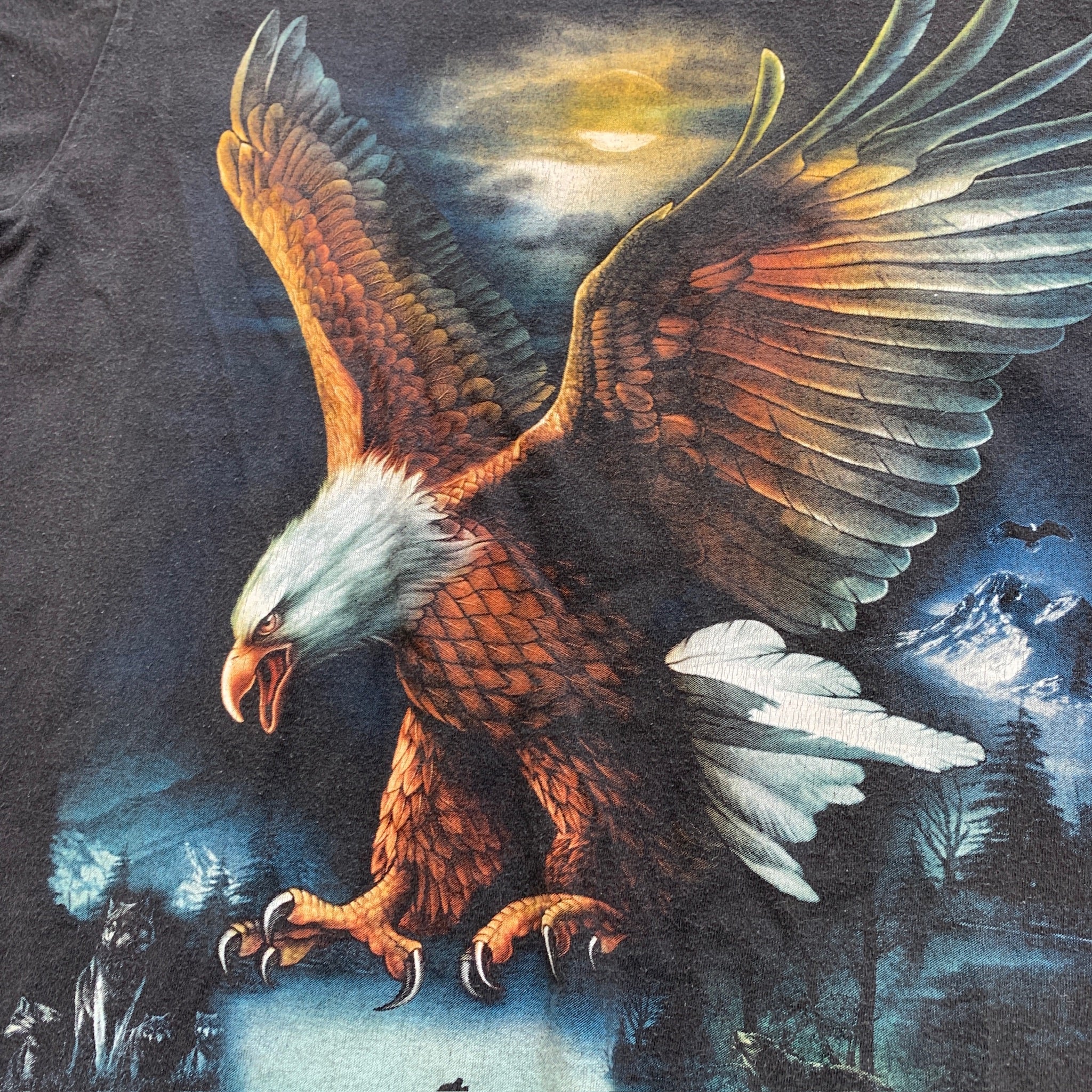 Vintage T Shirt Mens Small Black Graphic Print 90s Eagle USA Nature