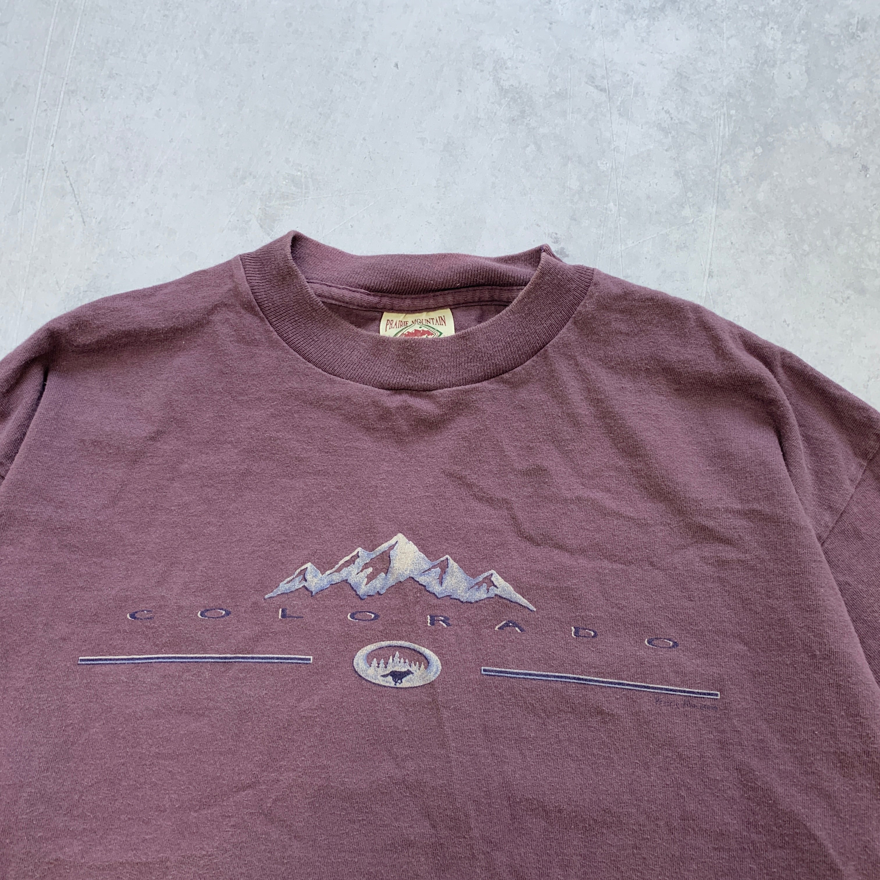 Vintage T Shirt Mens Large Purple Single Stitch Graphic Print 90s USA Tourist