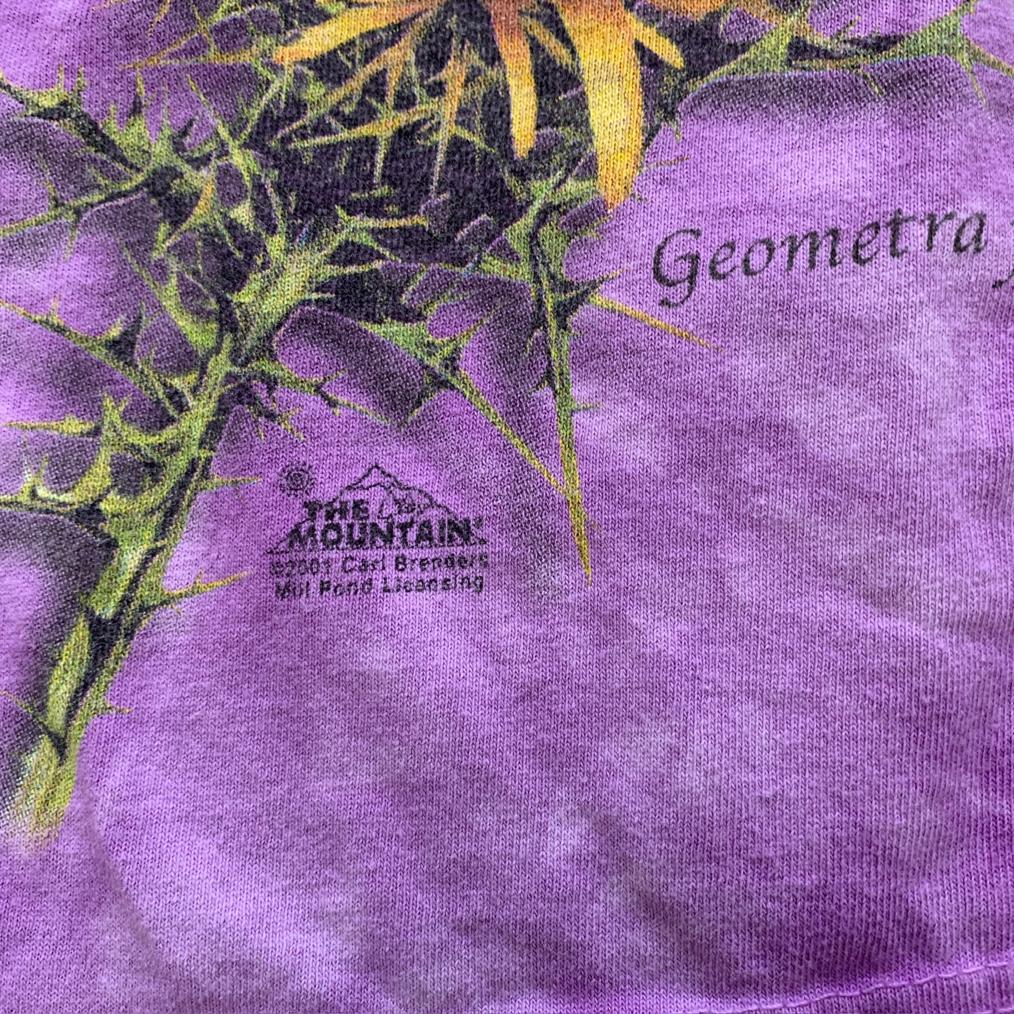 Vintage T Shirt Mens Medium Purple Graphic Print 00s Butterfly Animal Nature