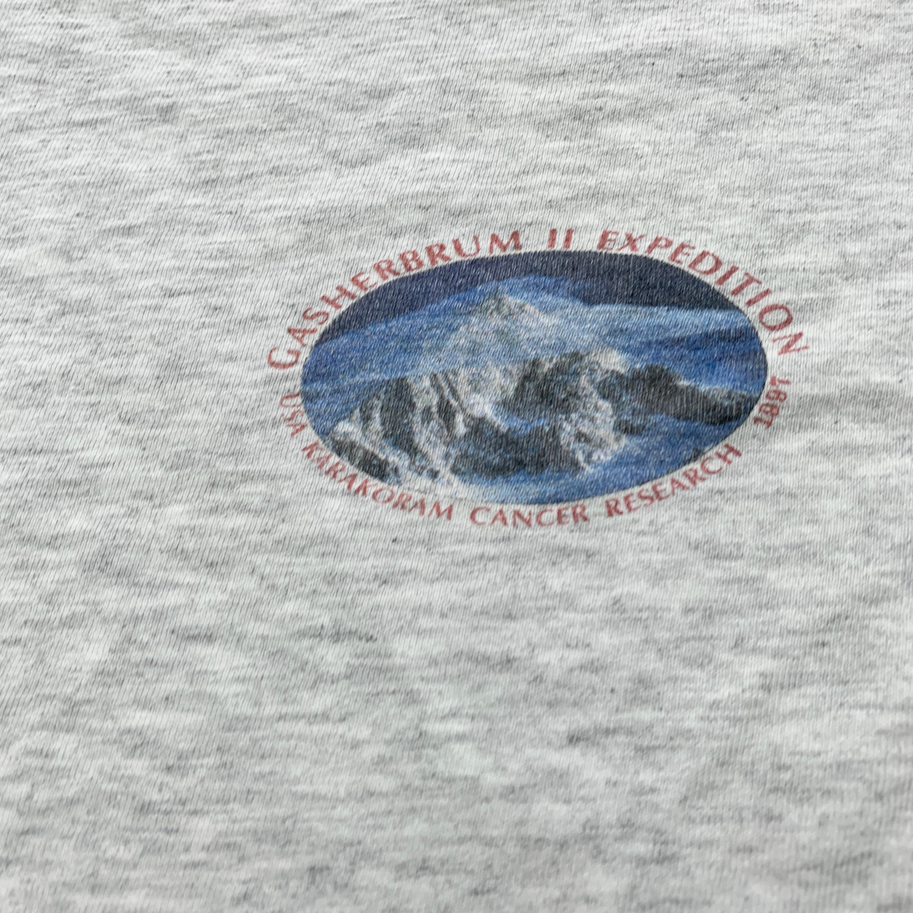 Vintage T Shirt Mens Medium Grey Single Stitch Graphic Print 90s USA Hiking